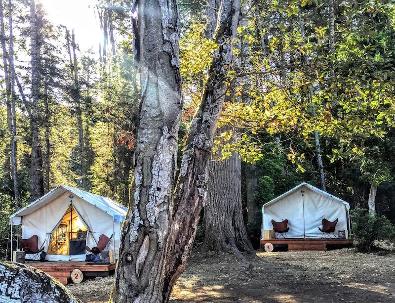mendocino-grove-camping.jpg