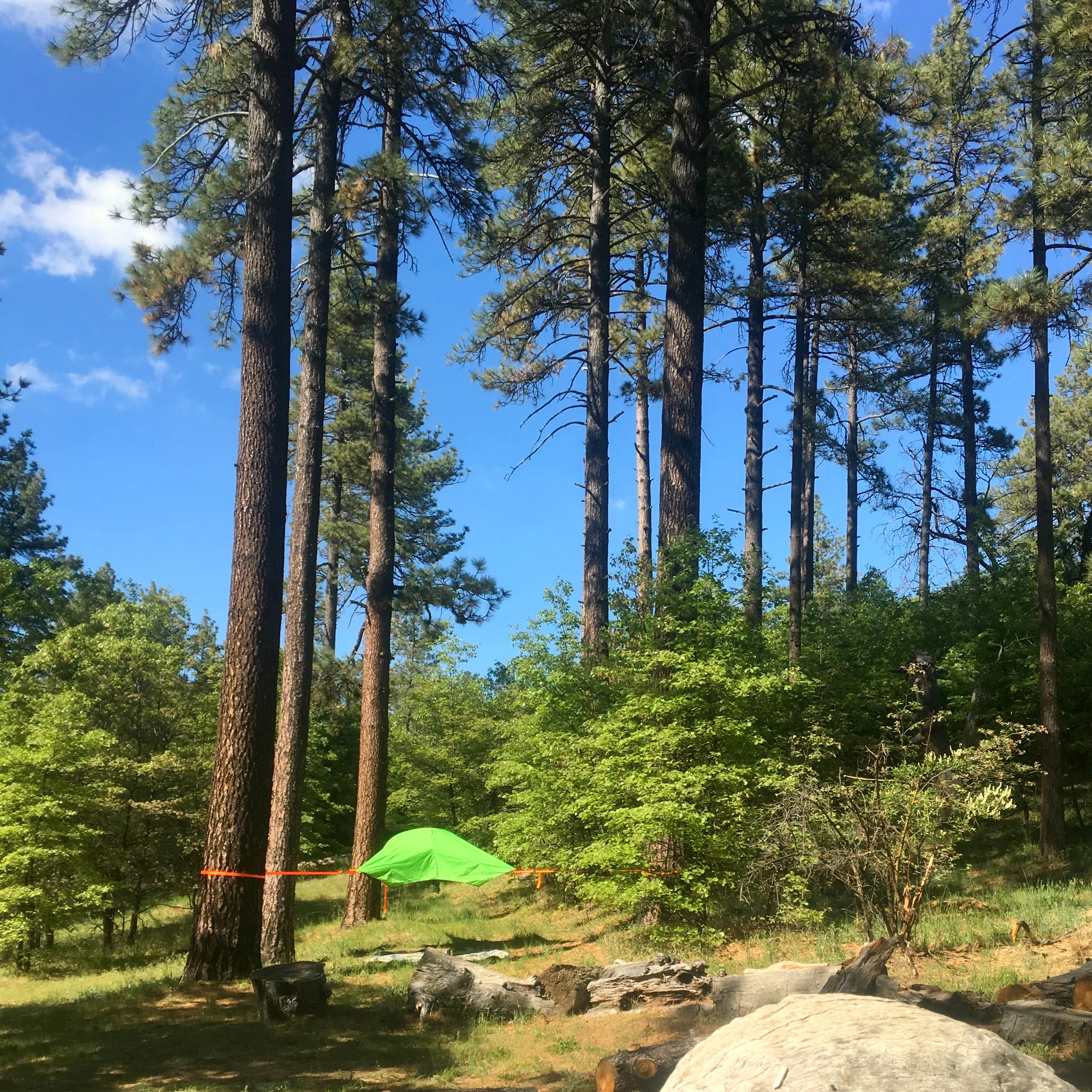 Laguna el Prado group campground, Airbnb