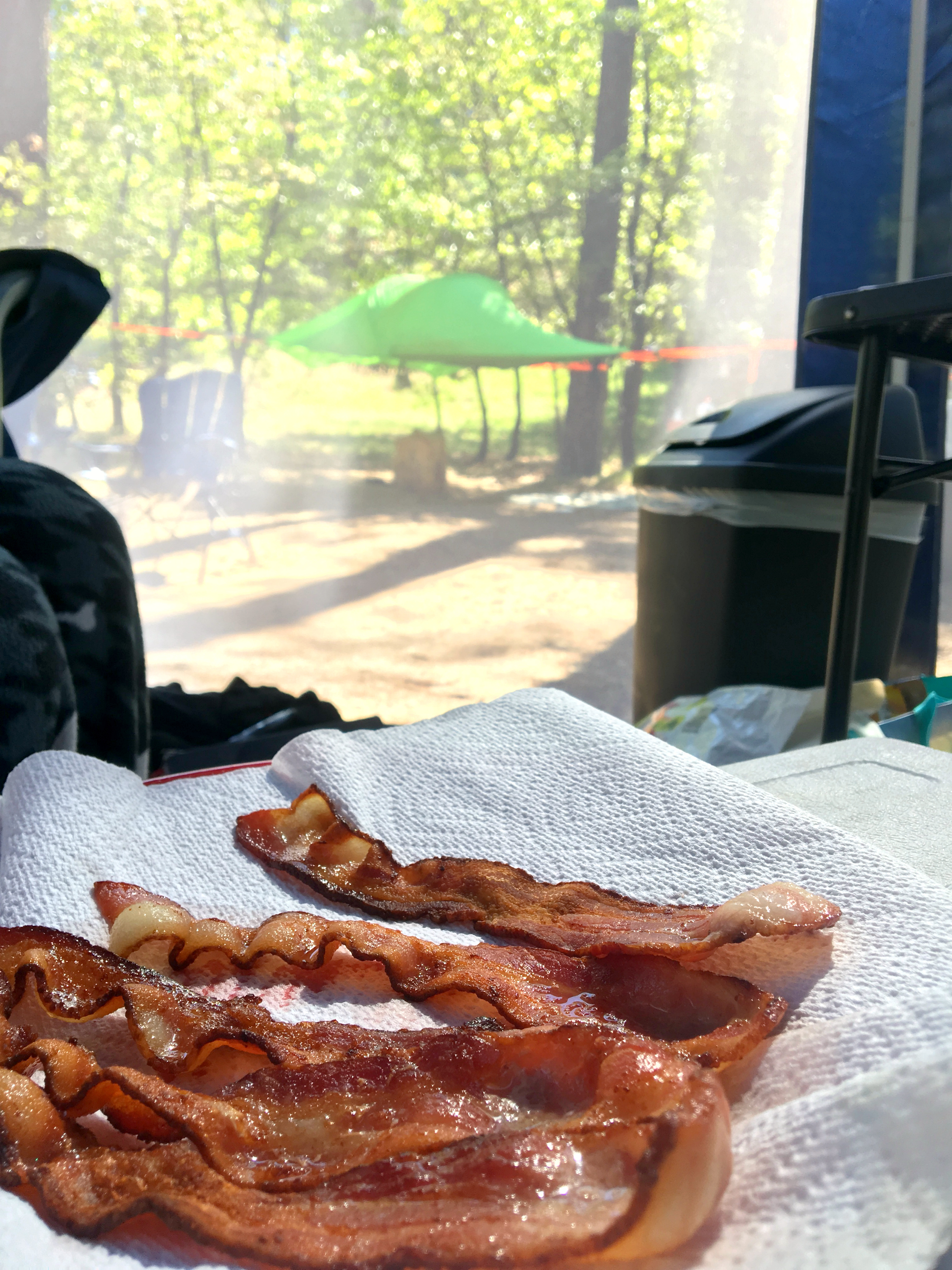 Morning mouthful of bacon