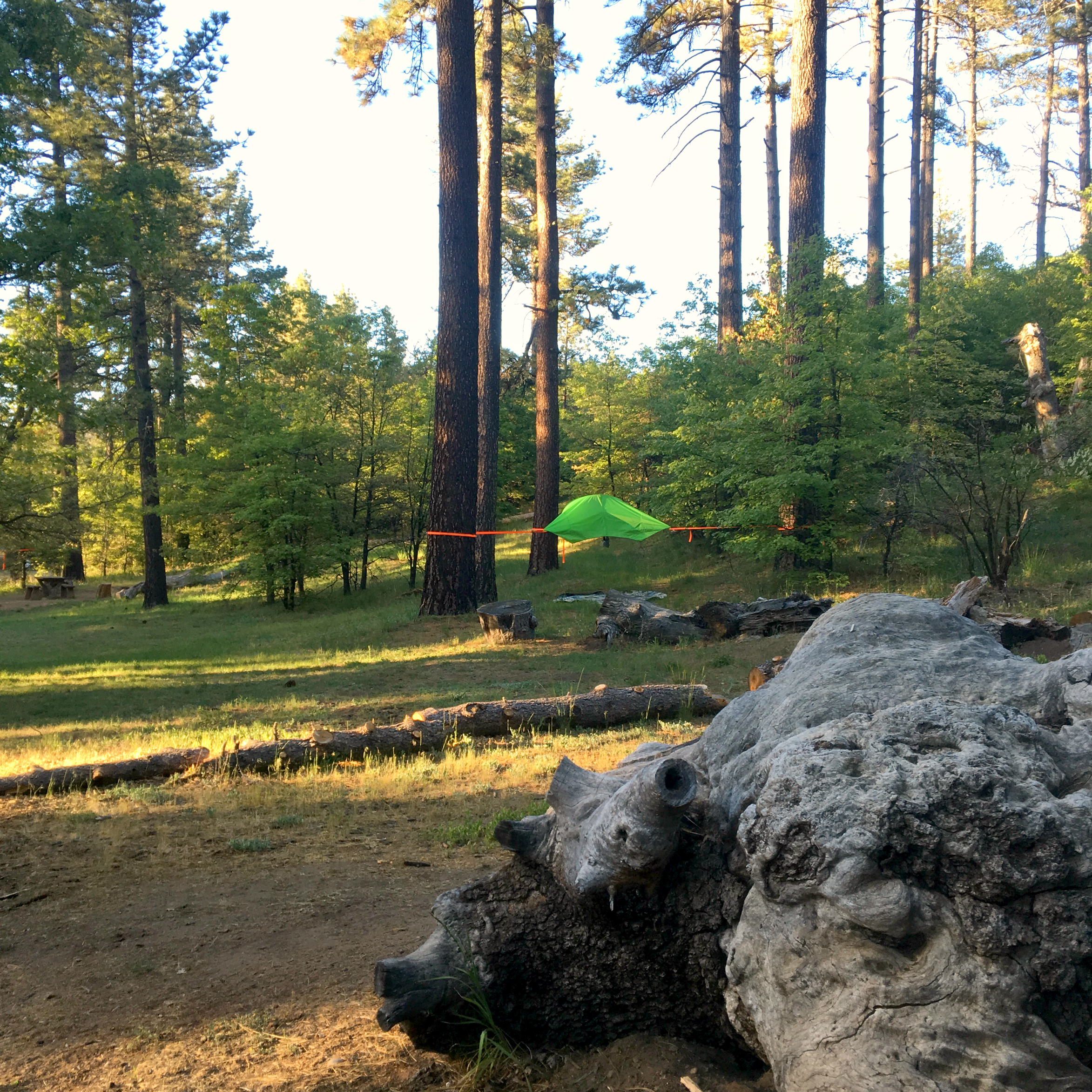Tentsile