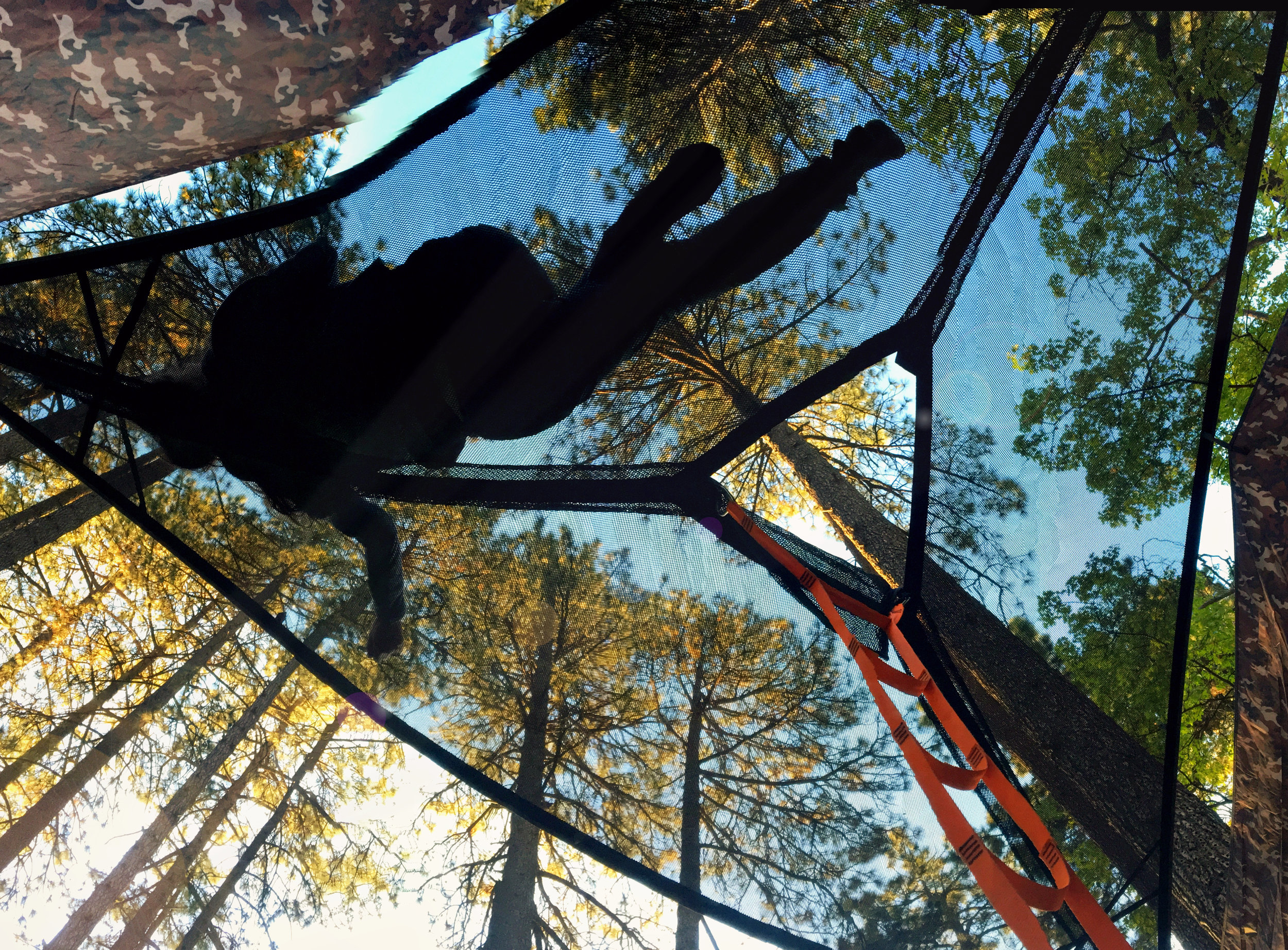 Hammock from below