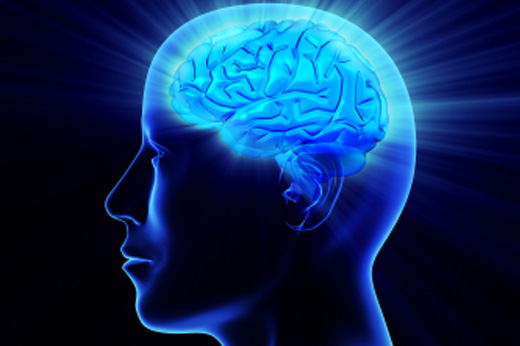 The Power of the Brain