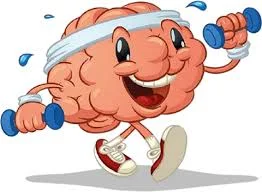 How To Optimise Your Brain