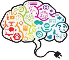 What Happens in a NeurOptimal Neurofeedback Session?