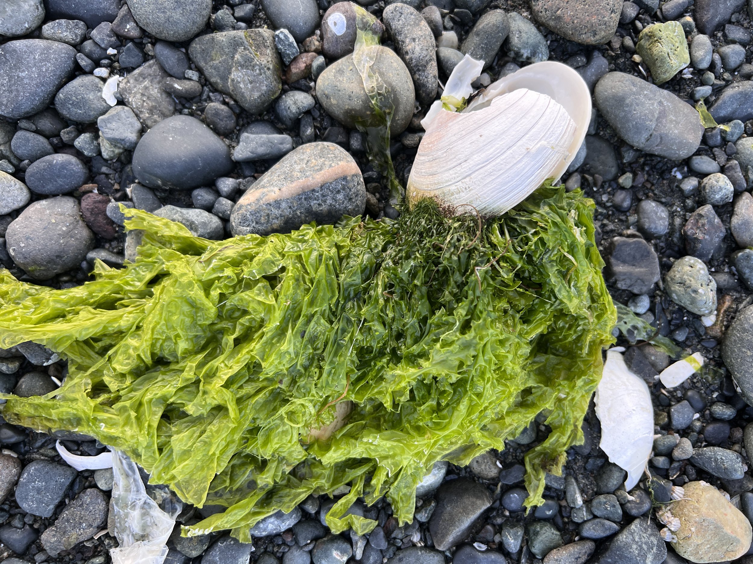 Port Hardy, Vancouver Island, British Columbia