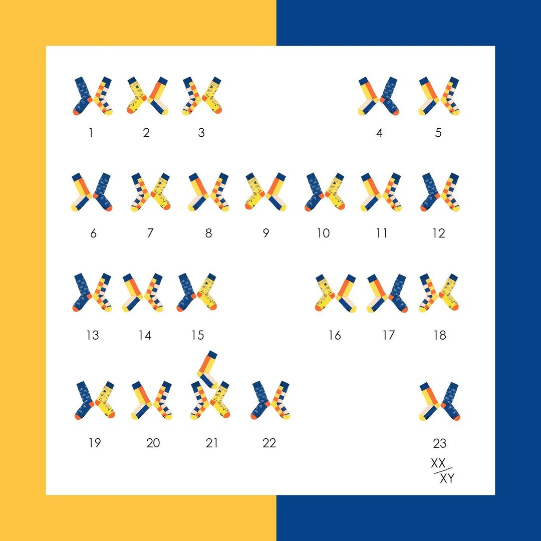 DOWN SYNDROME AWARENESS DAY 💛 Link in bio 💙 ⠀
.⠀
More about this date⠀
.⠀
The 21st of March (21/03) is the international day to celebrate and support people with Down Syndrome. The numbers on this date are very symbolic and remind us well what is D