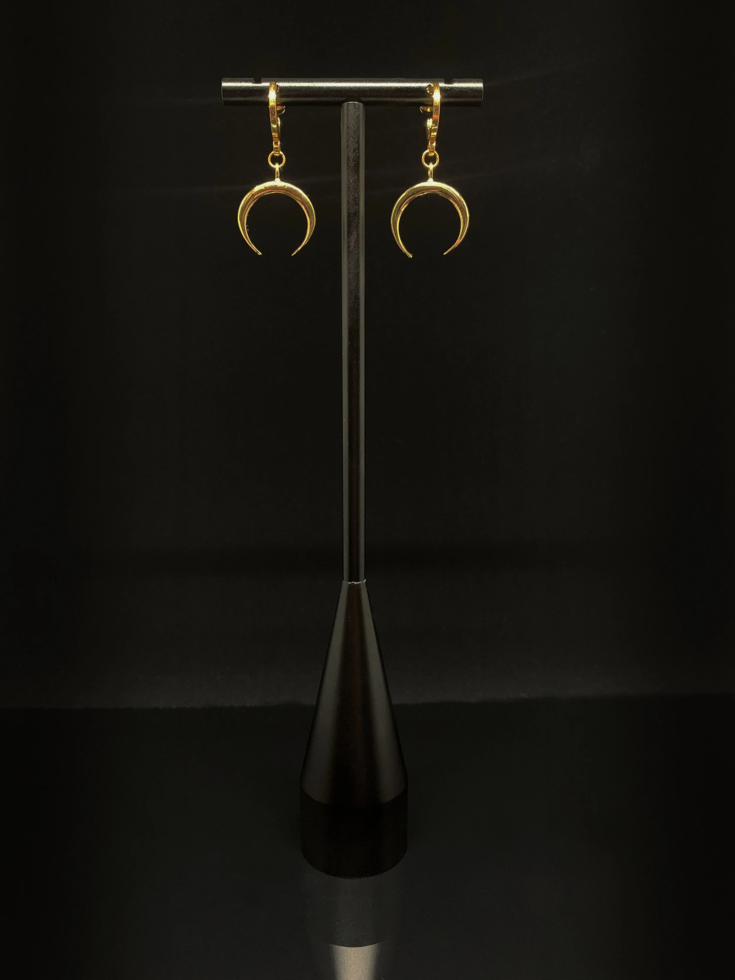 Jewellery - Apogee Earrings 2.jpg