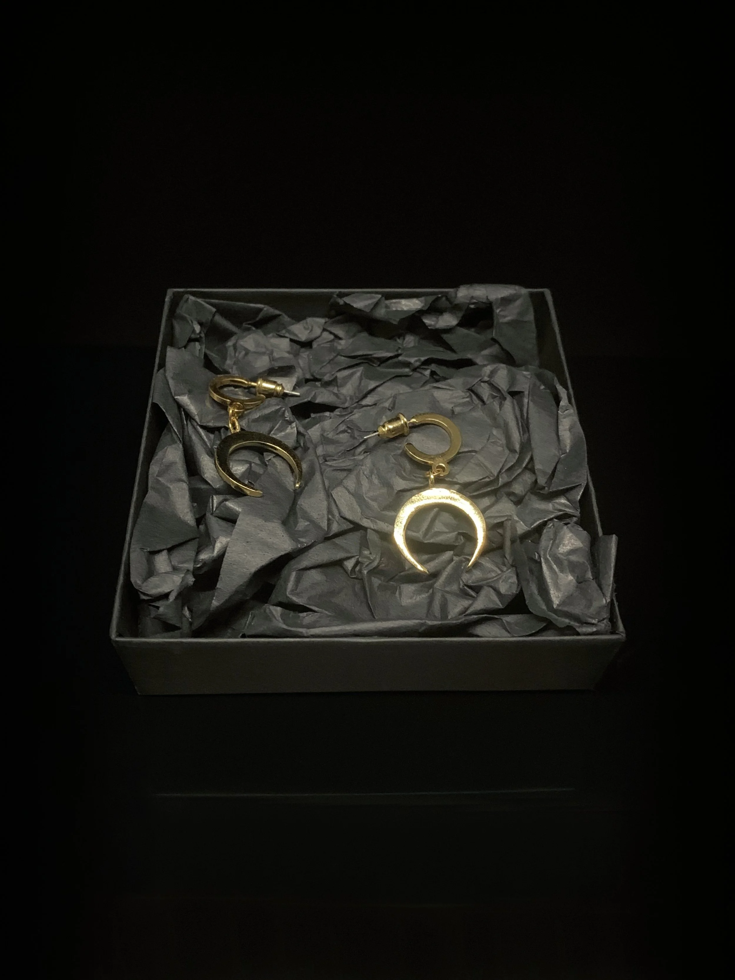 Jewellery - Apogee Earrings 4.jpg