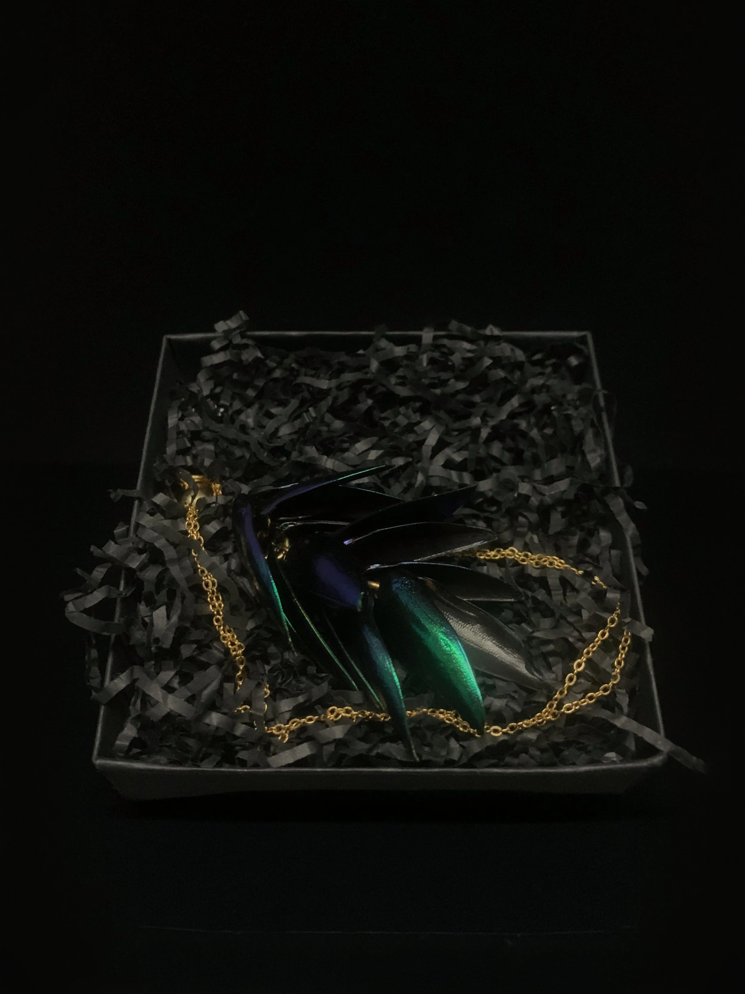 Jewellery - Azure Elytra Cluster Necklace 4.jpg