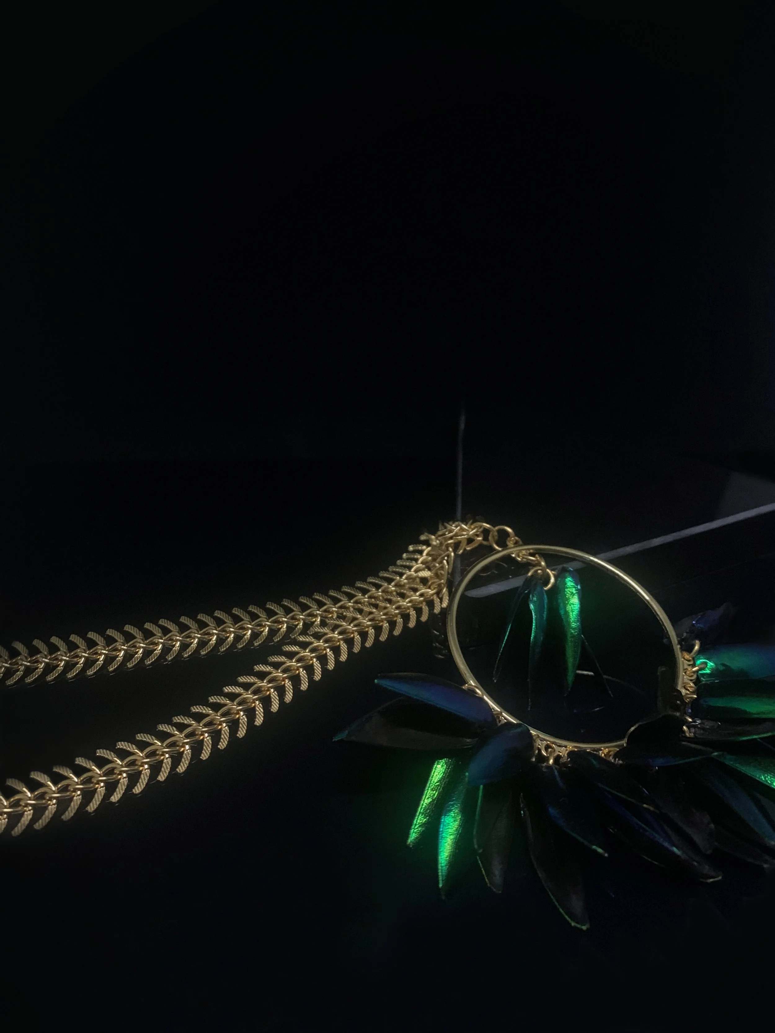 Jewellery - Elytra Charm Necklace 4.jpg