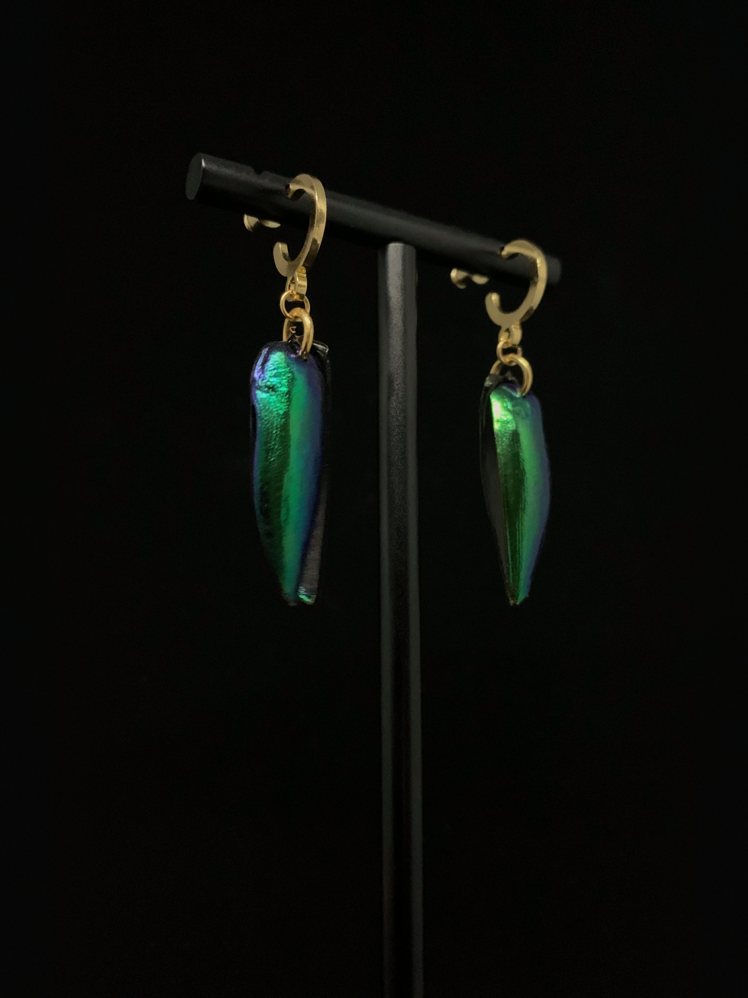 Jewellery - Elytra Earrings 2.jpg