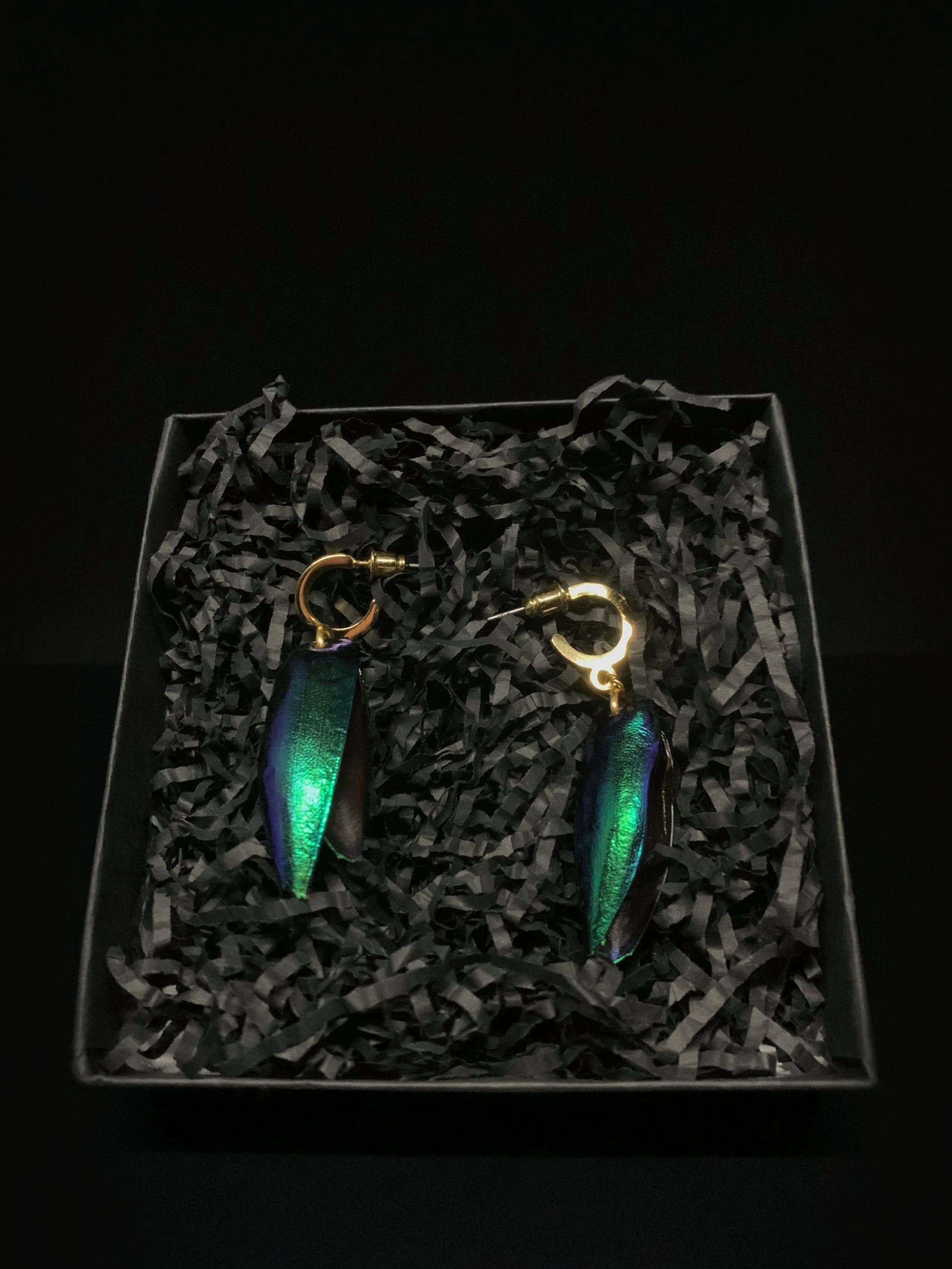 Jewellery - Elytra Earrings 1.jpg