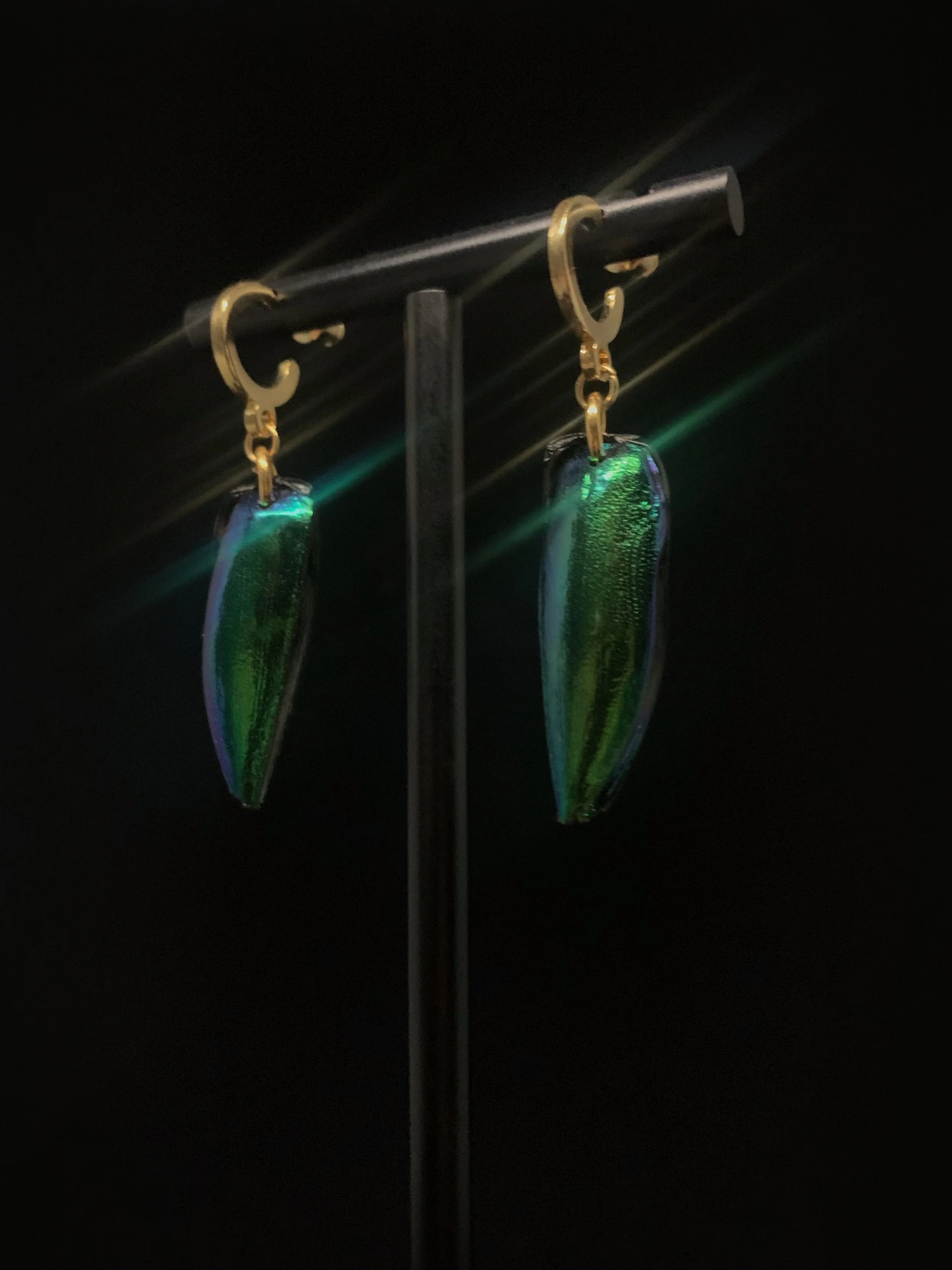 Jewellery - Elytra Earrings 3.jpg