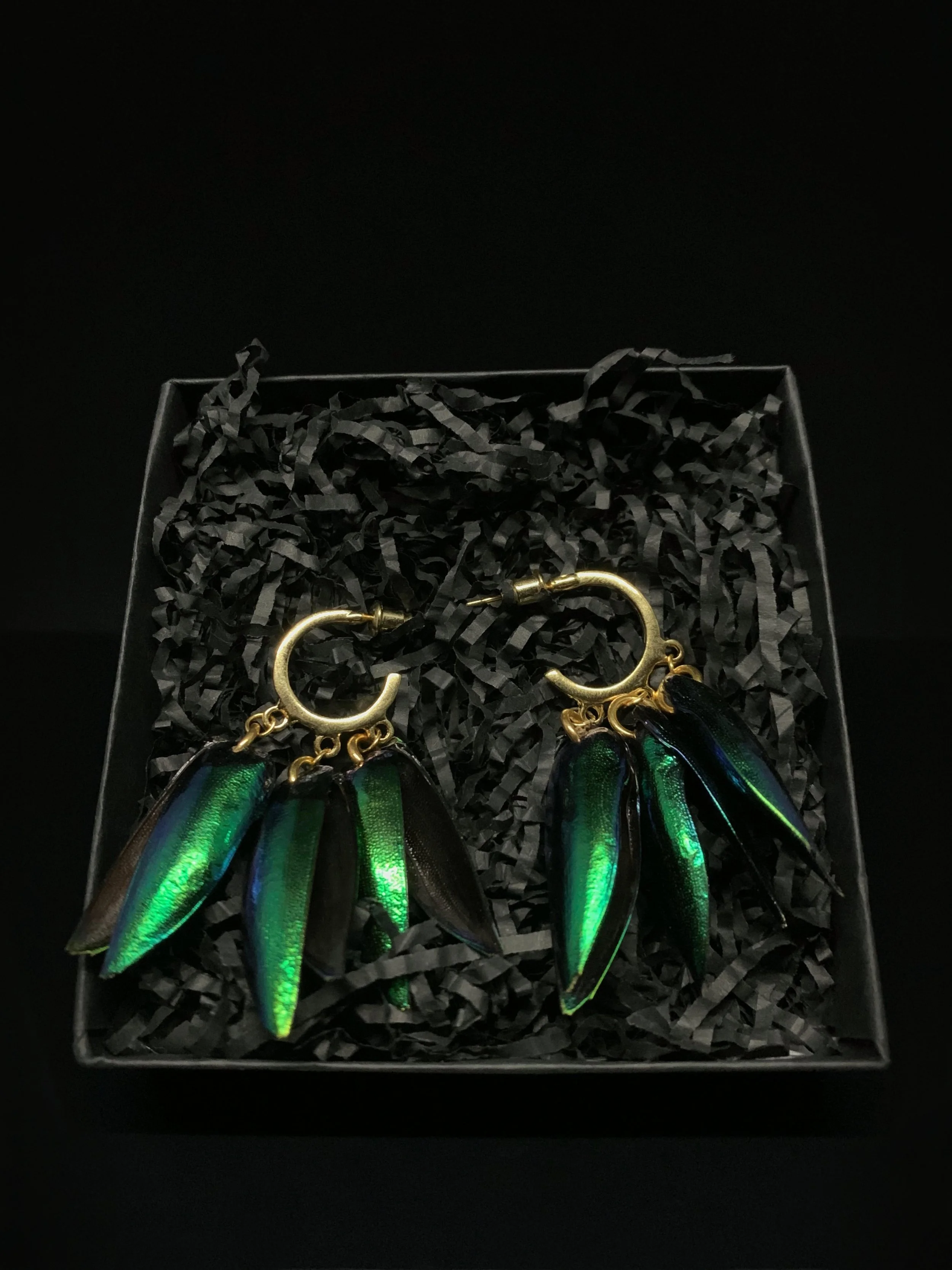Jewellery - Elytra Trio Earrings 1.jpg