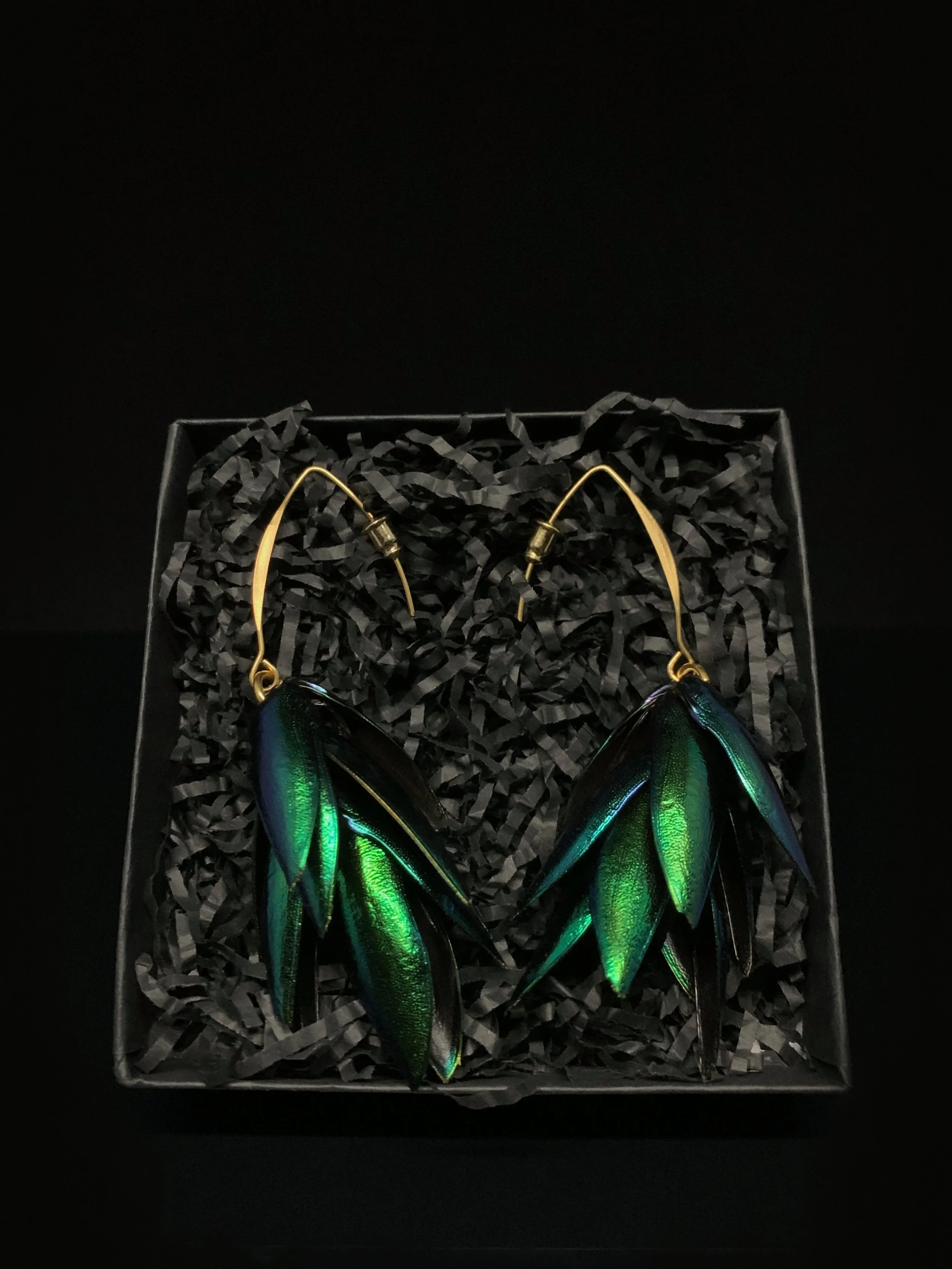Jewellery - Verdant Elytra Cluster Earrings 1.jpg