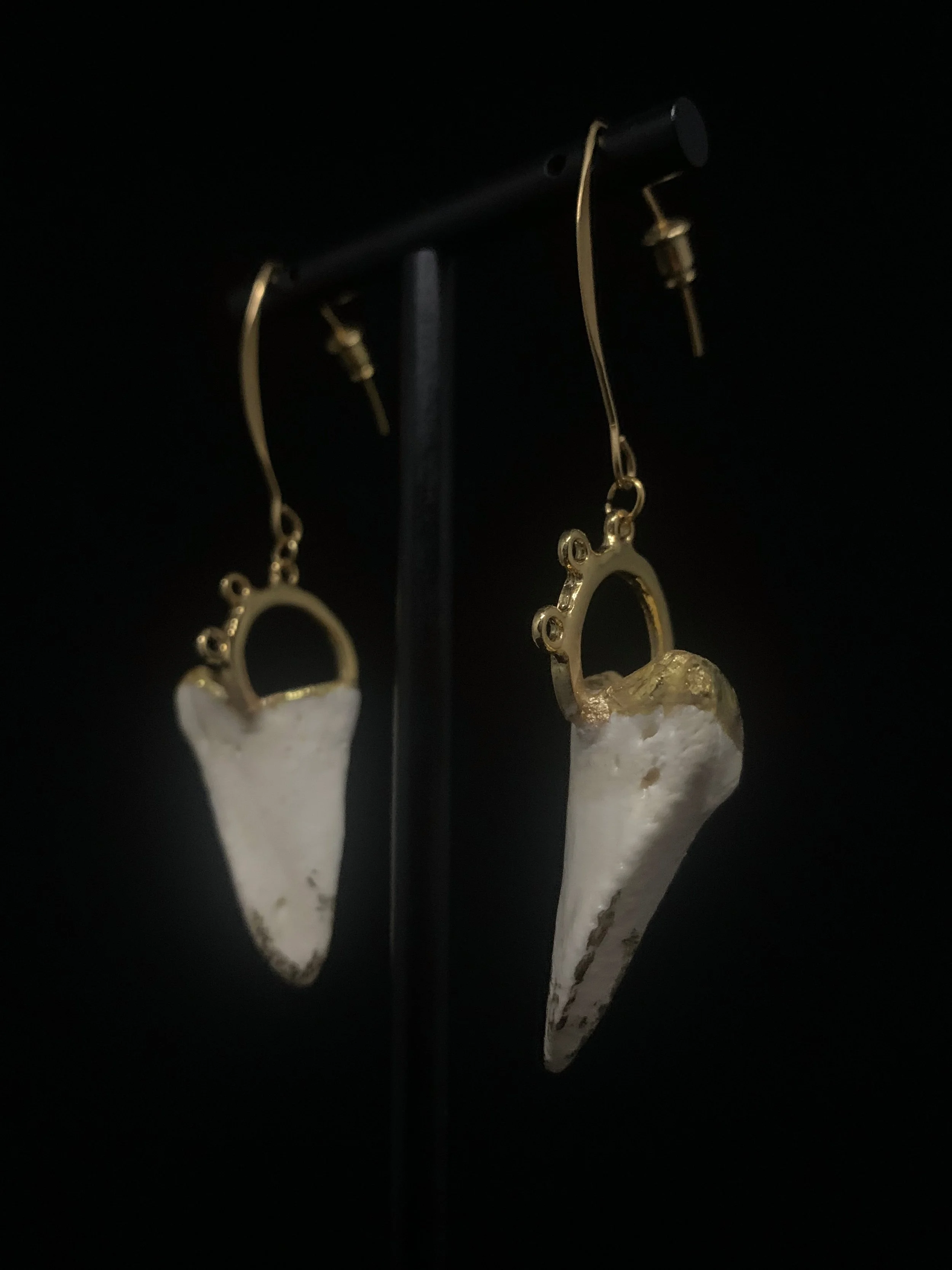 sharktooth white 1.jpg