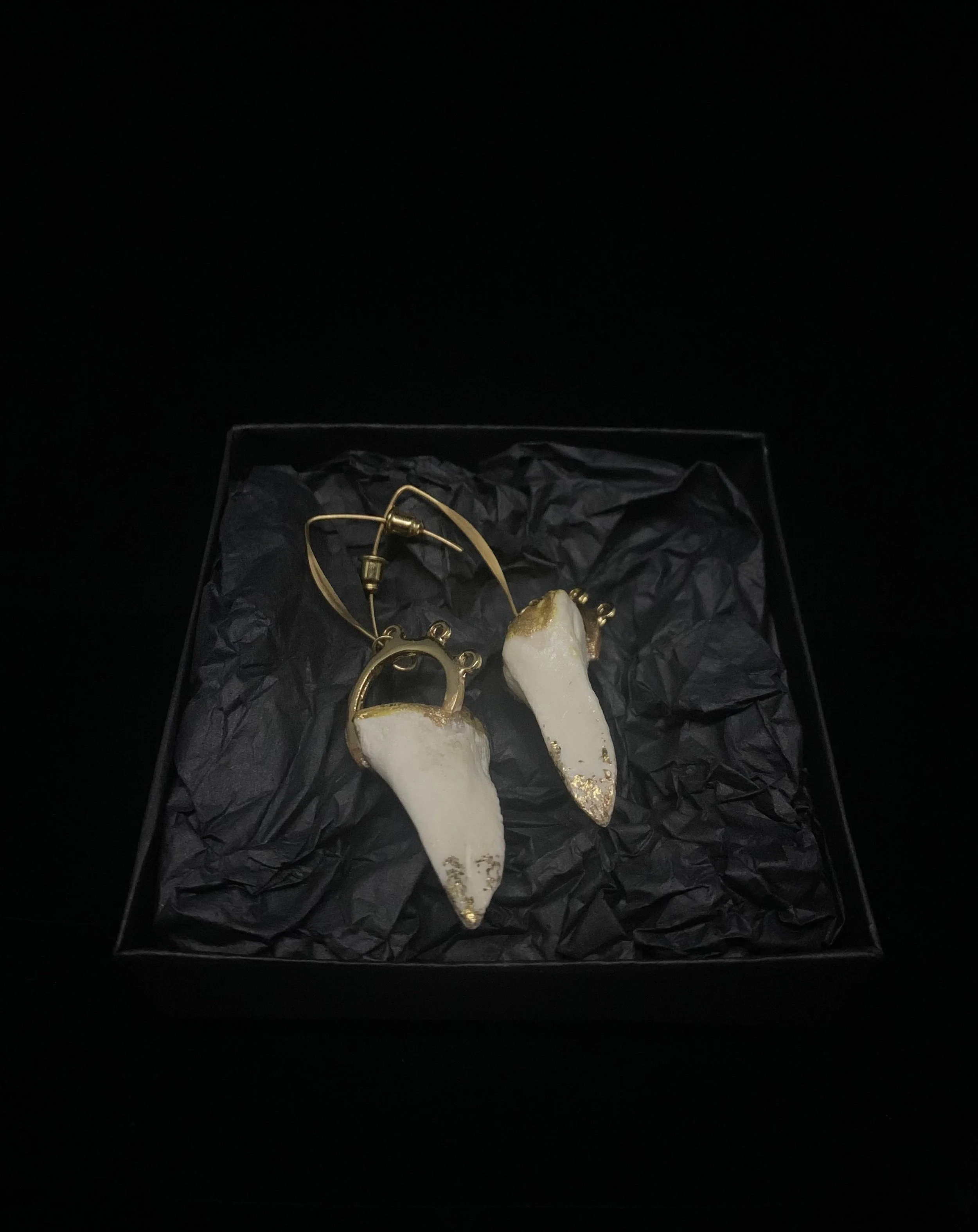 sharktooth white 3.jpg