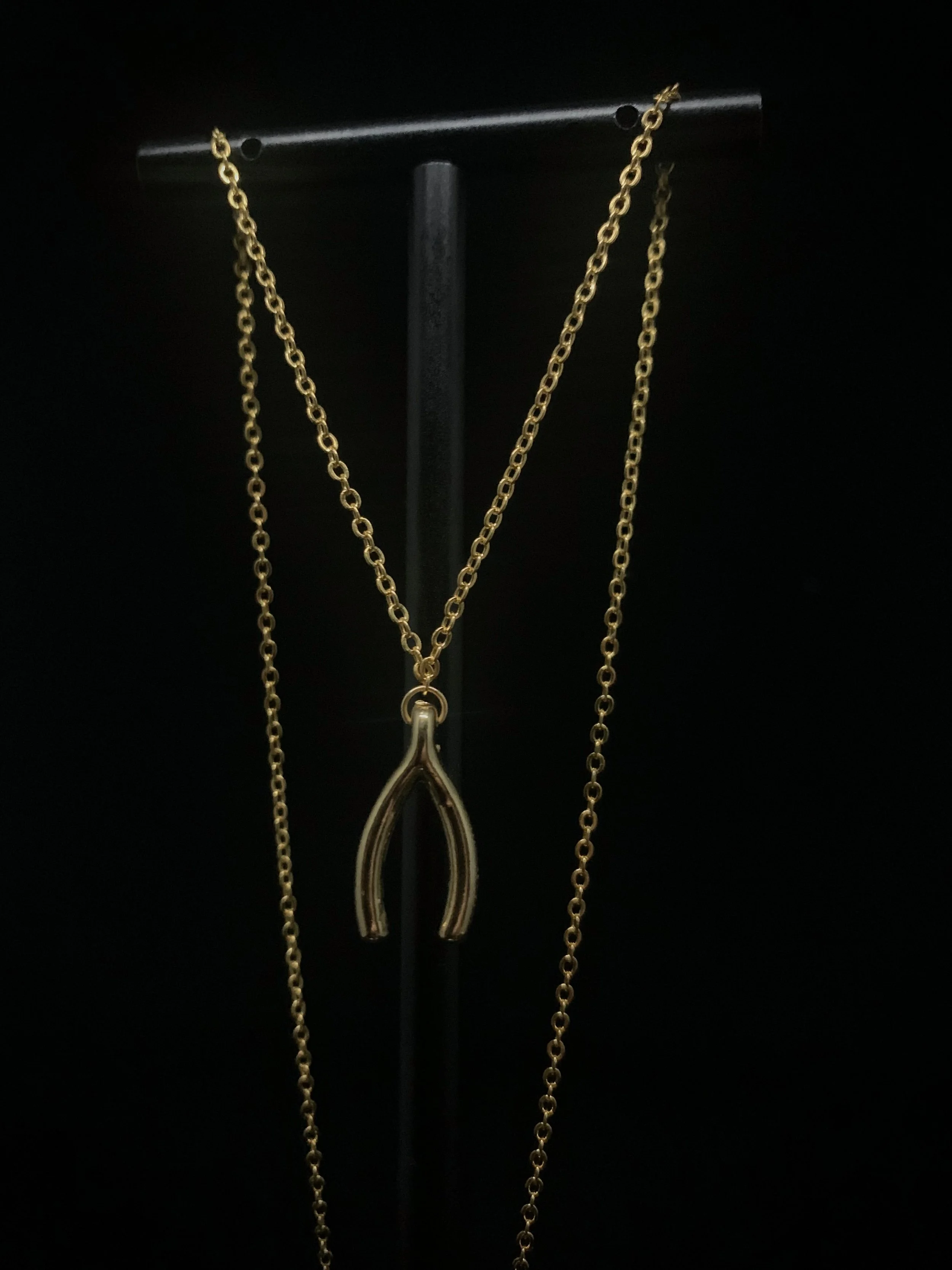 wishbone necklace 2.jpg