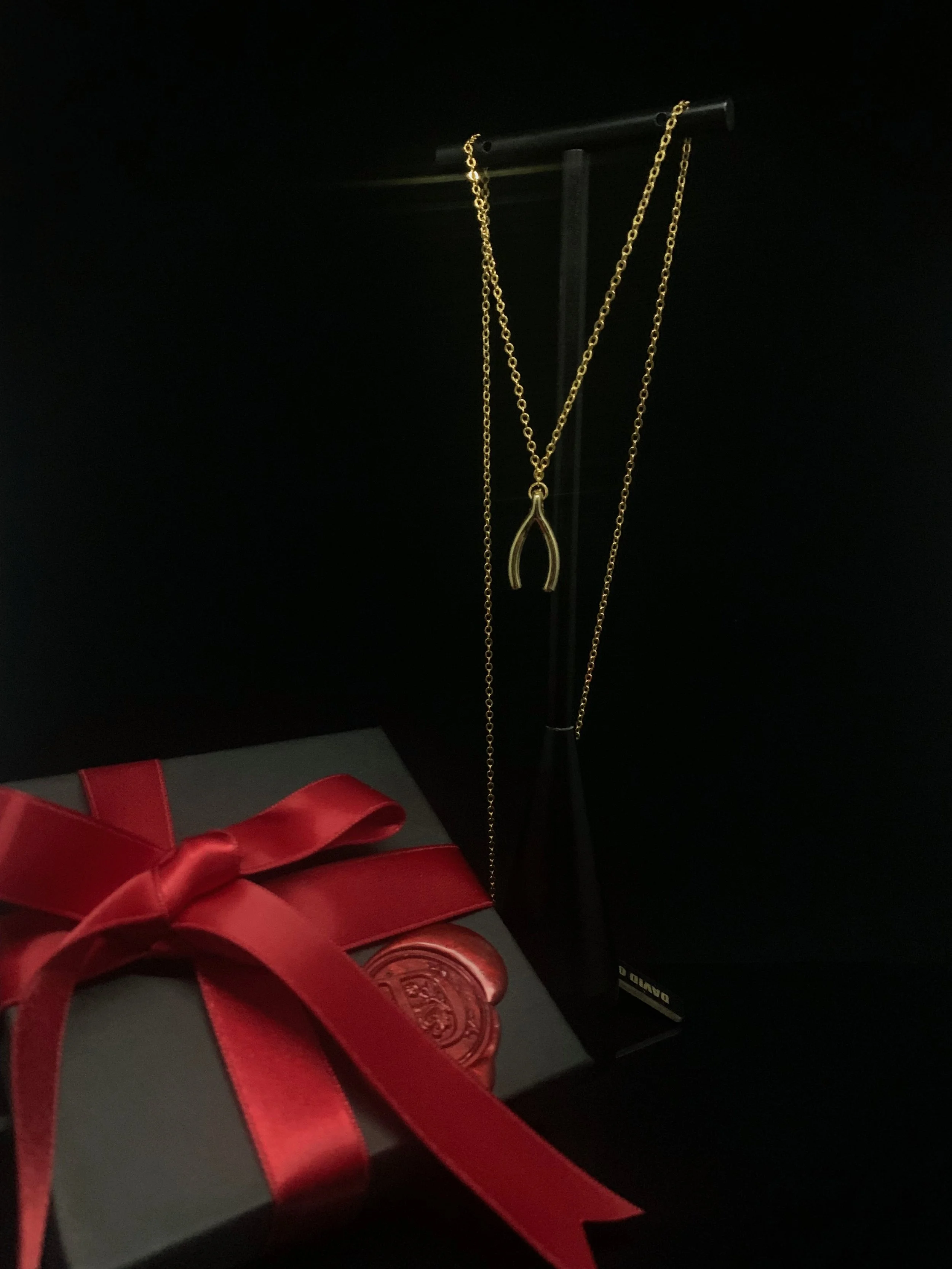 wishbone necklace 3.jpg