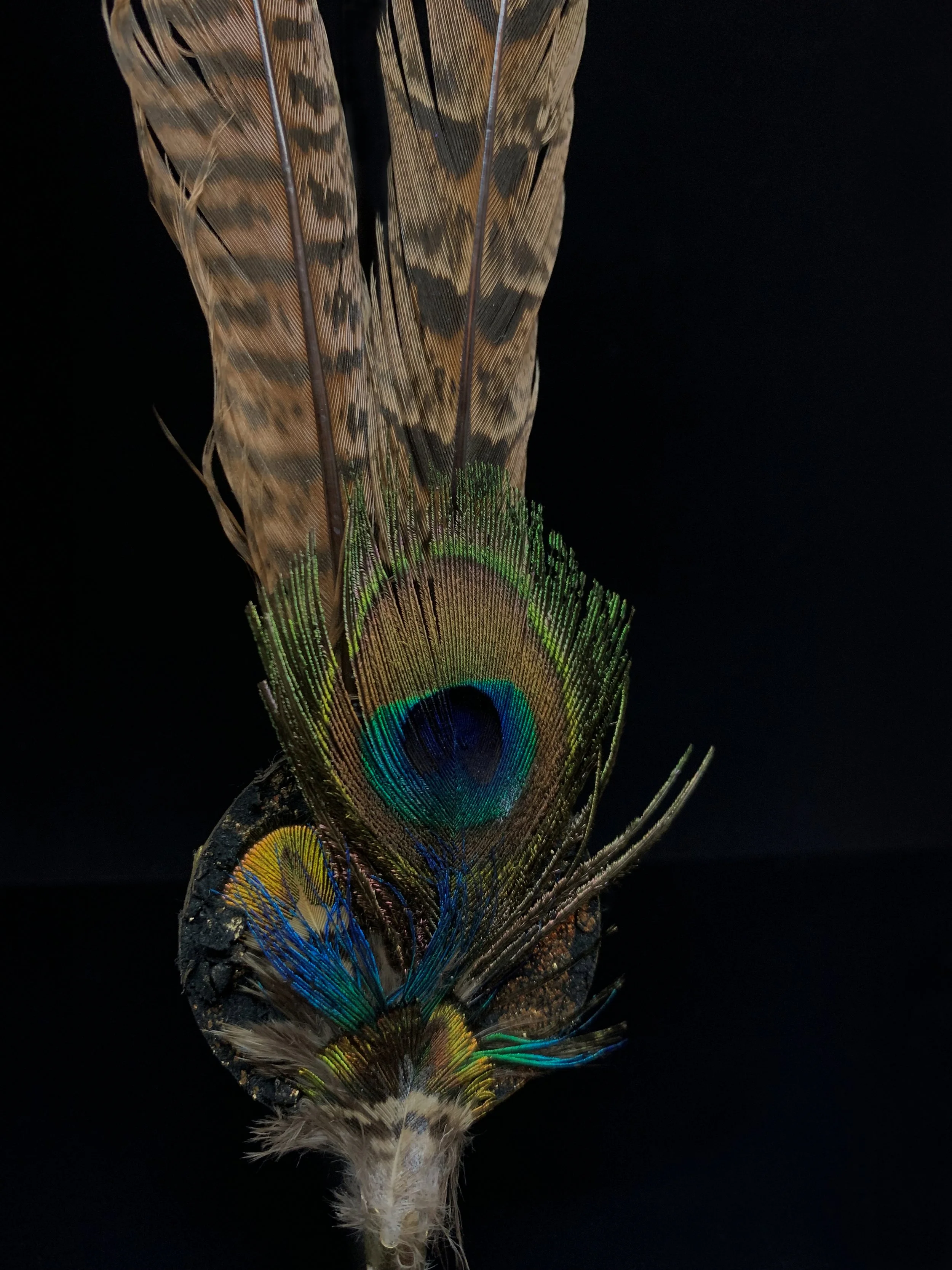 Broach1 2.jpg
