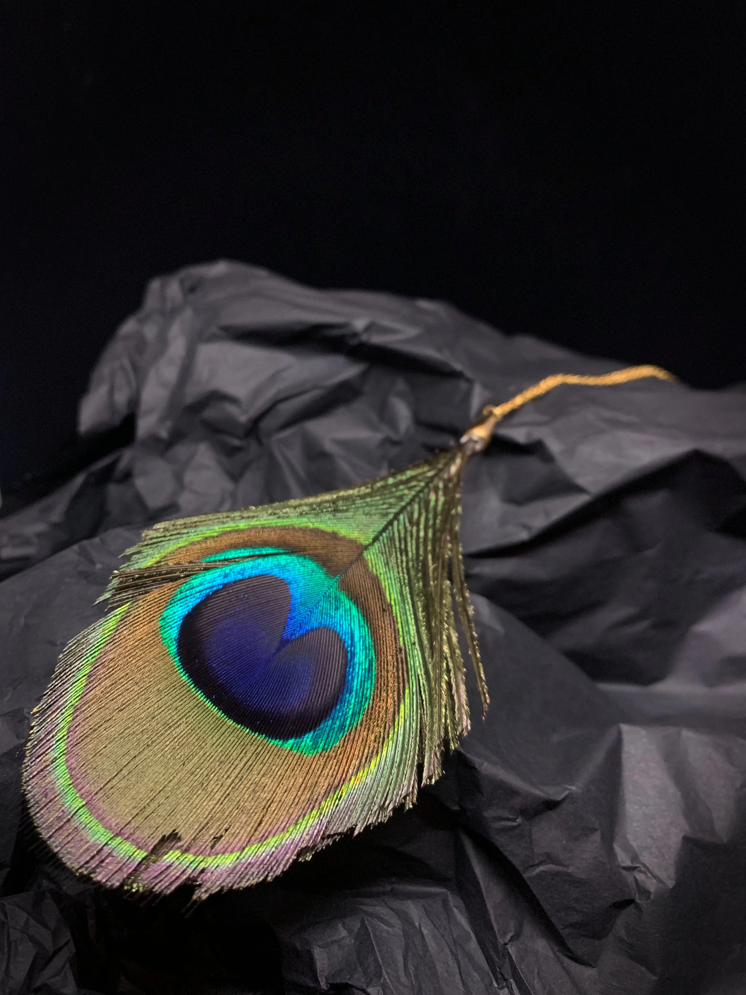 Peacock Necklace 3.jpg
