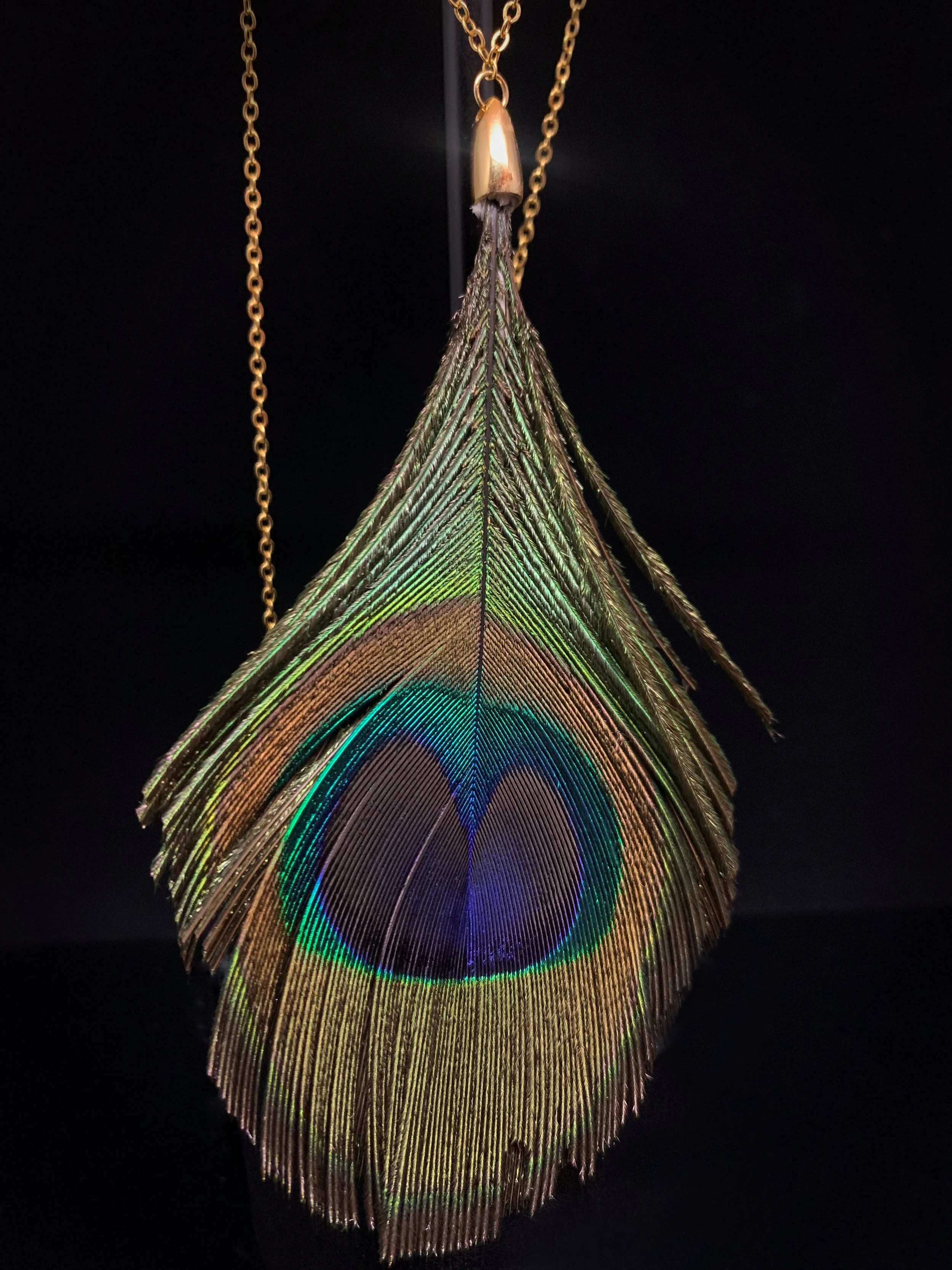 Peacock Necklace 2.jpg