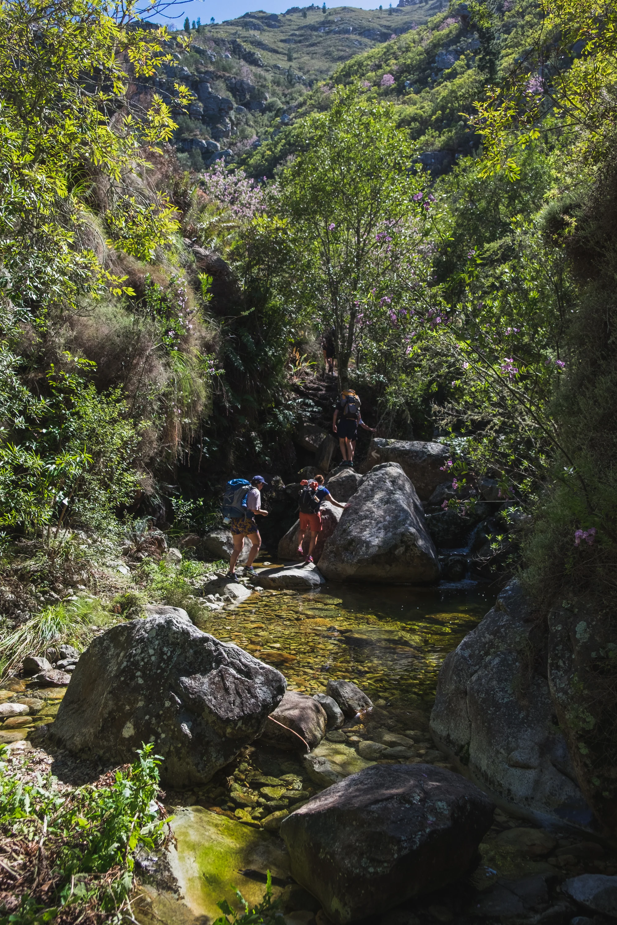 Arangieskop website-3.jpg