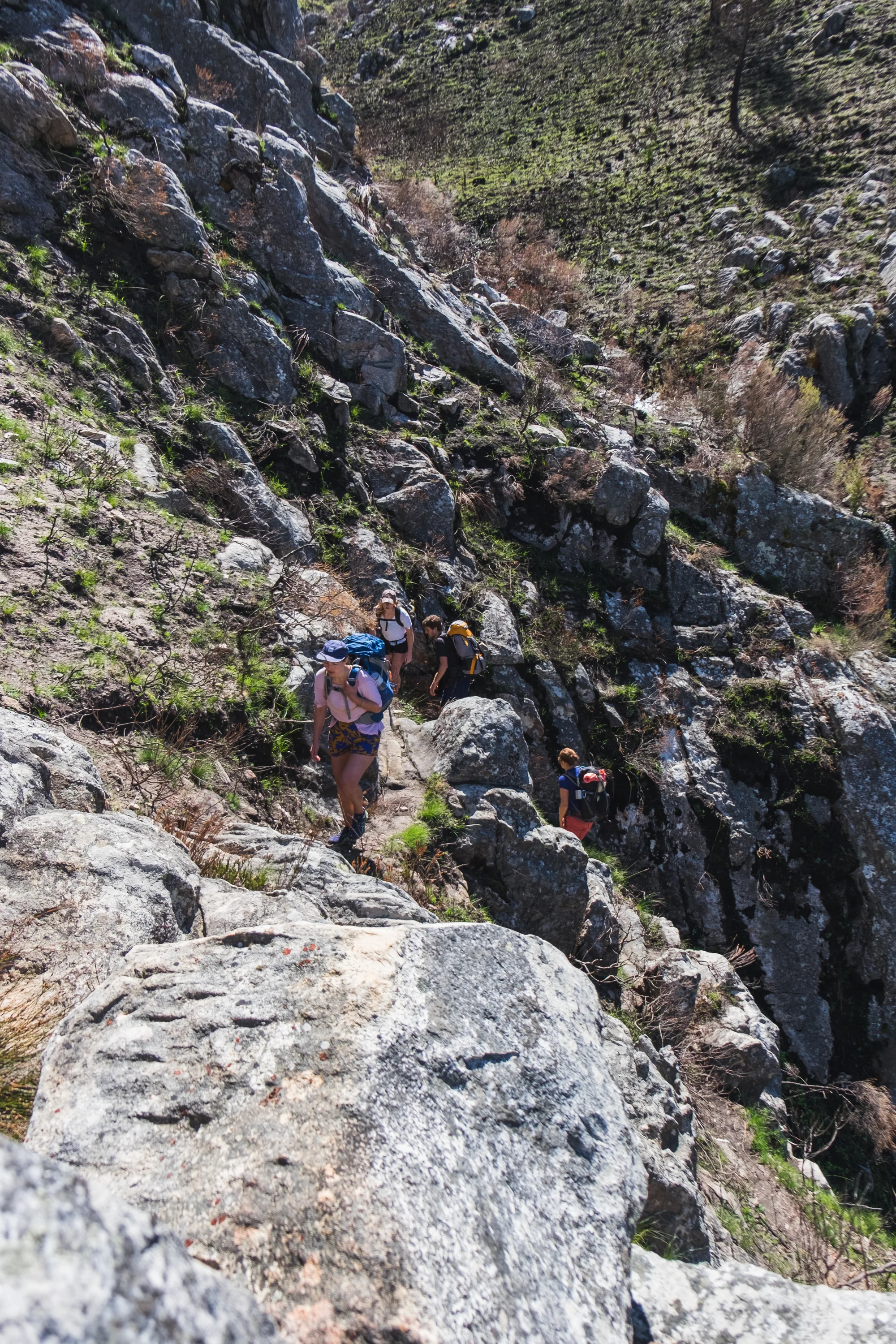 Arangieskop website-6.jpg