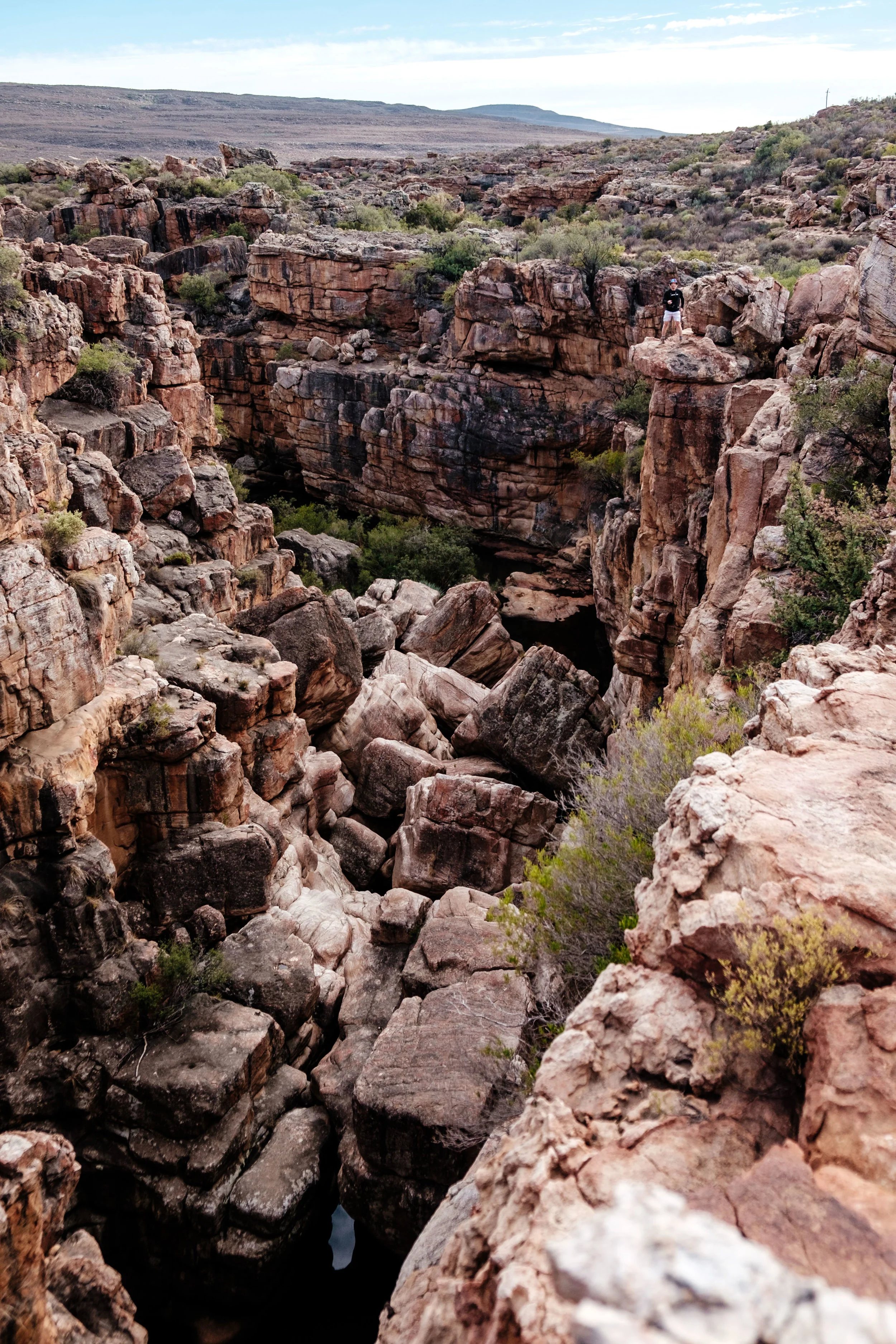 DSCF2746.jpg