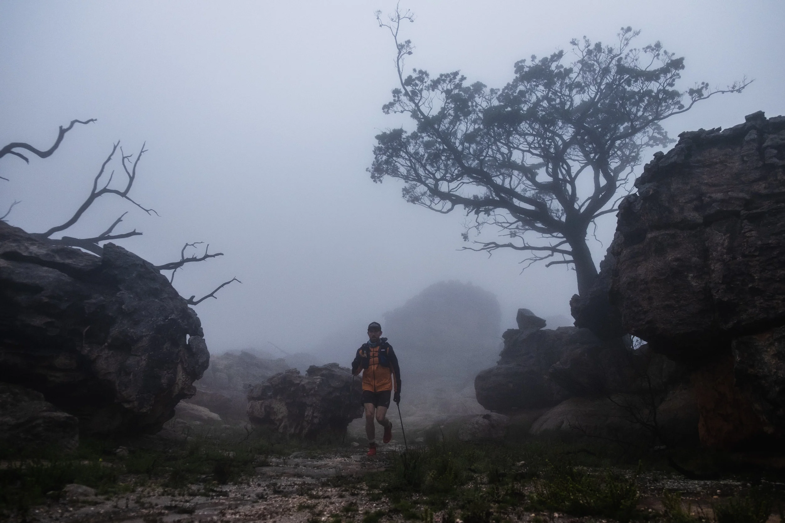 Stu in the shadow of an epic (and sadly endangered) Clanwilliam Cedar trees endemic to the area
