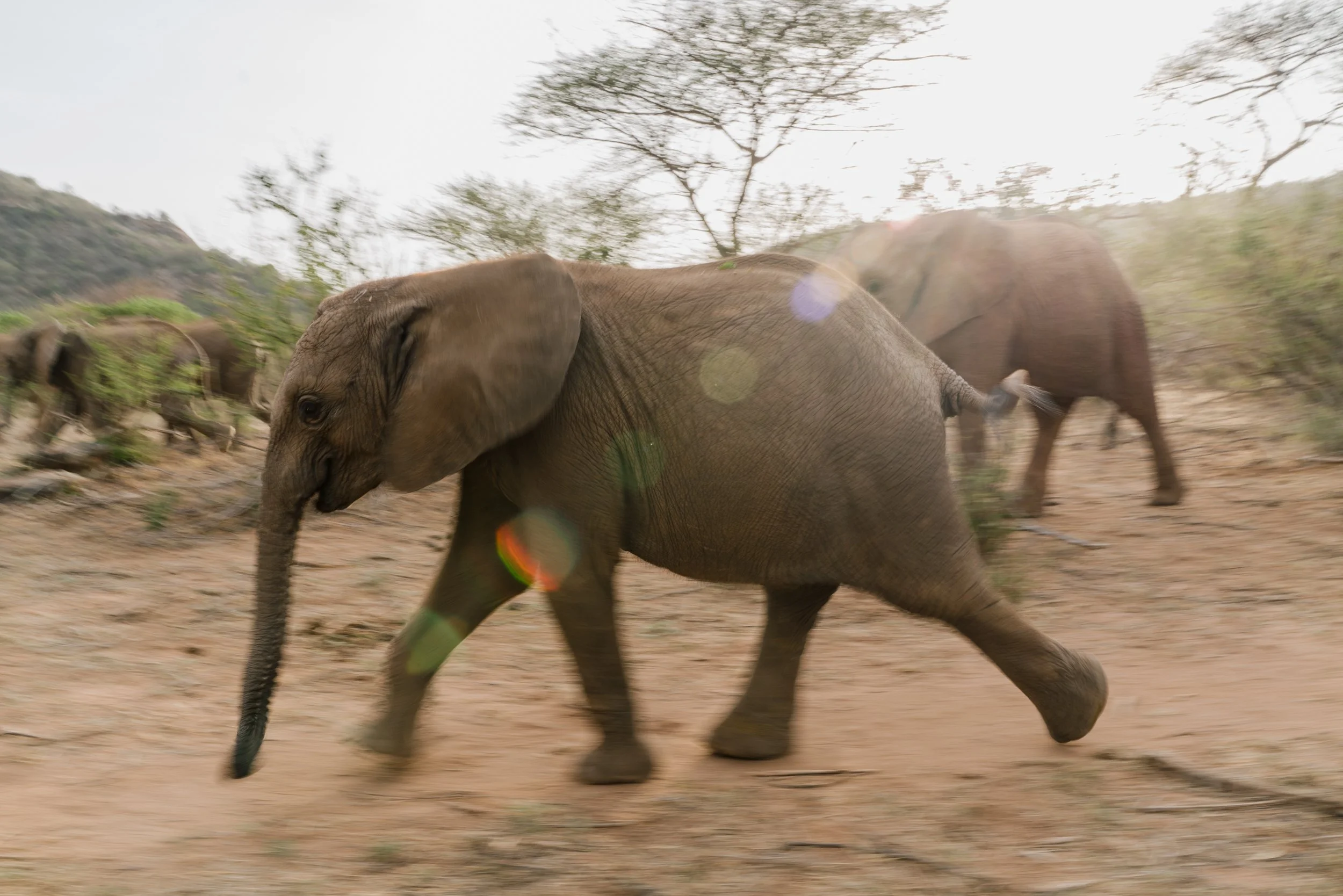 Sarara_20220221__SP_0658.jpg