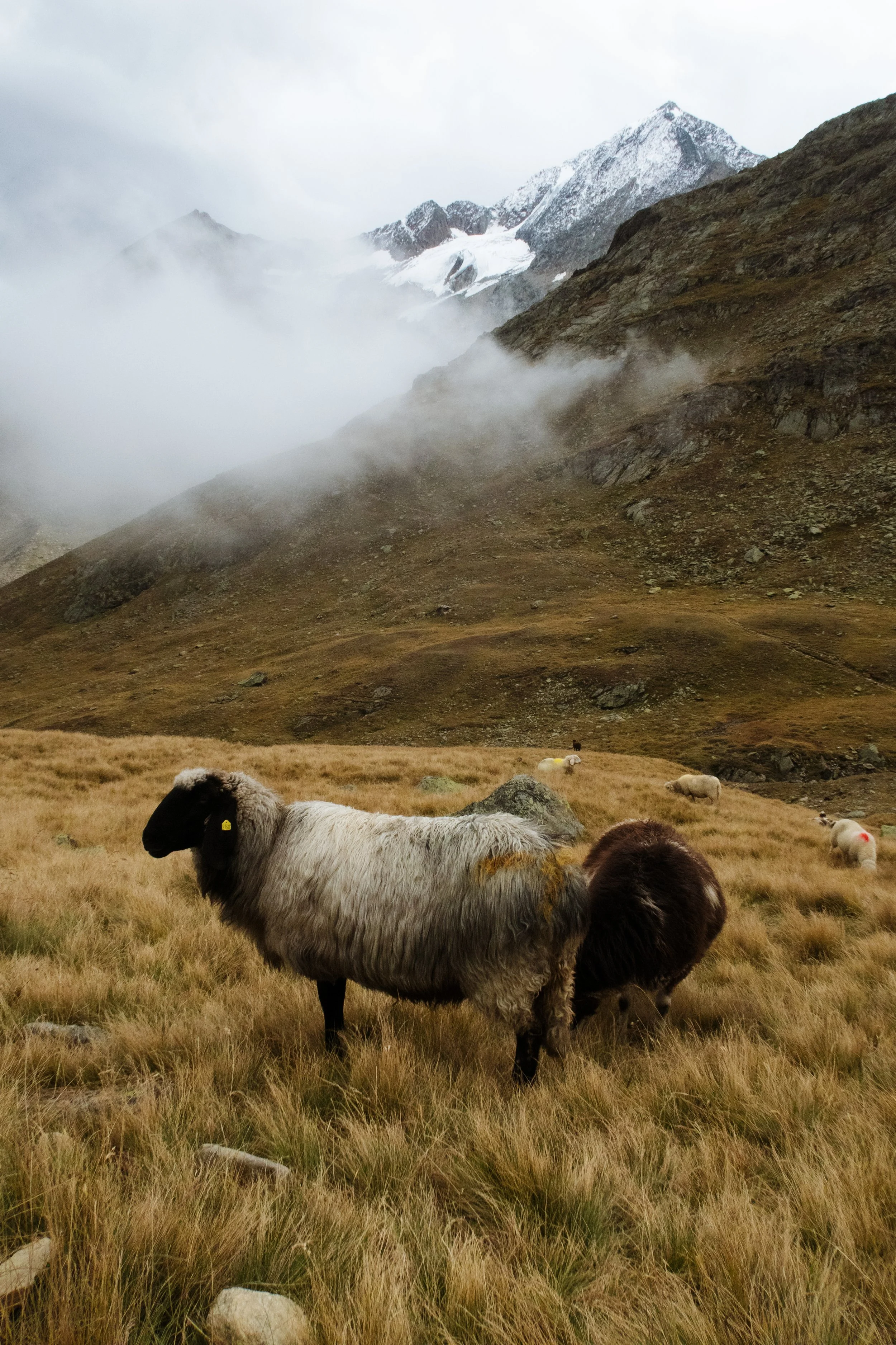 SP_OtztalTraverse_-4827.jpg