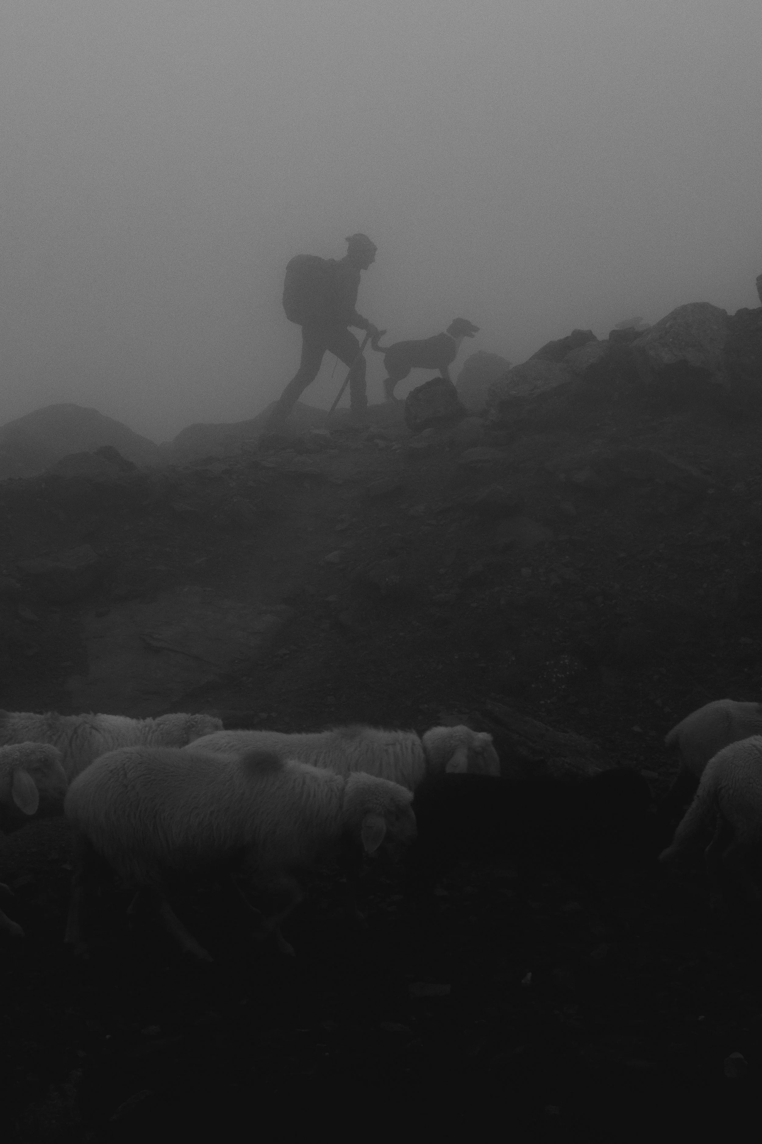 SP_OtztalTraverse_-4910.jpg