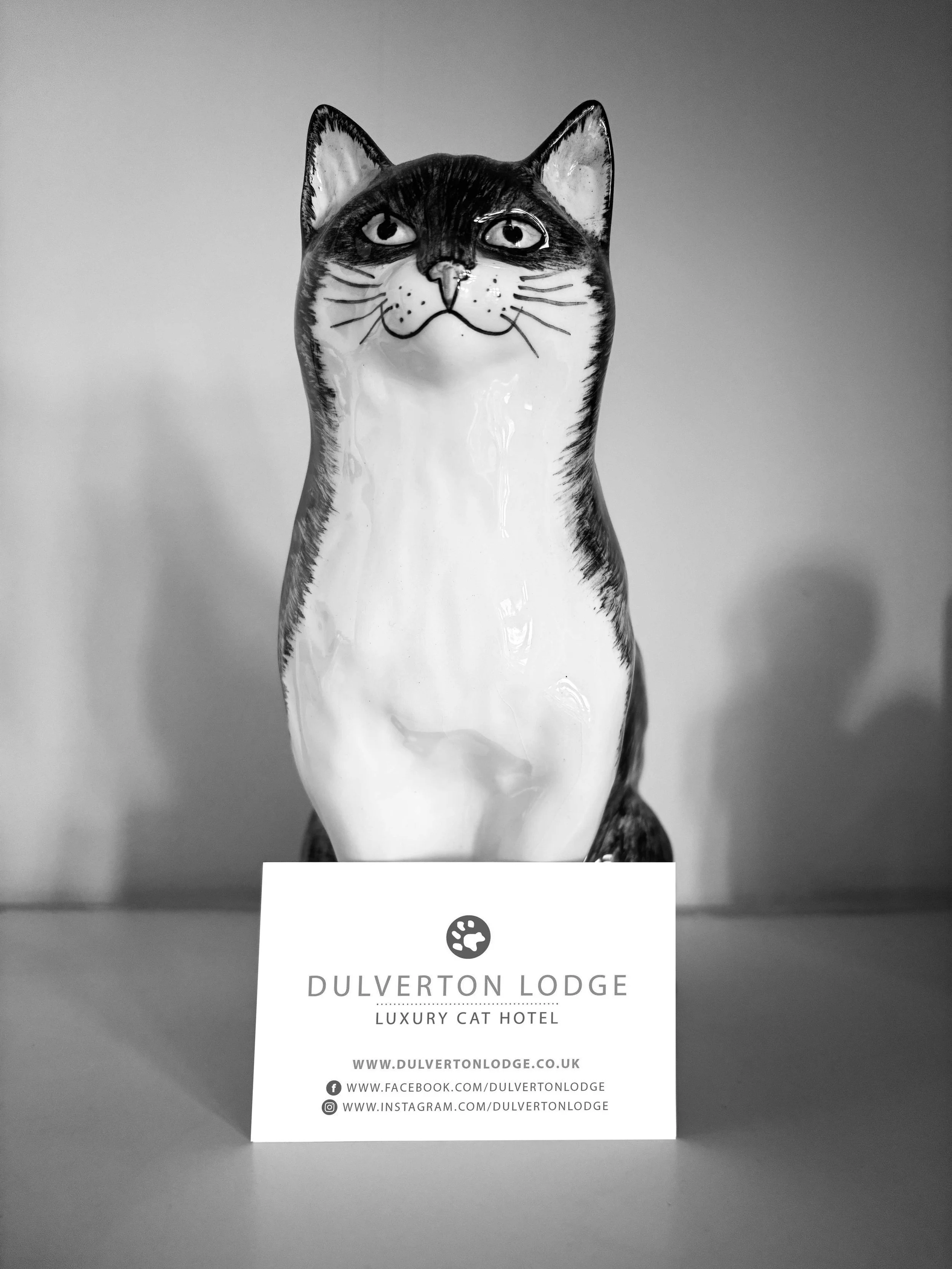 Duverton-lodge-Cat-with-card.jpg