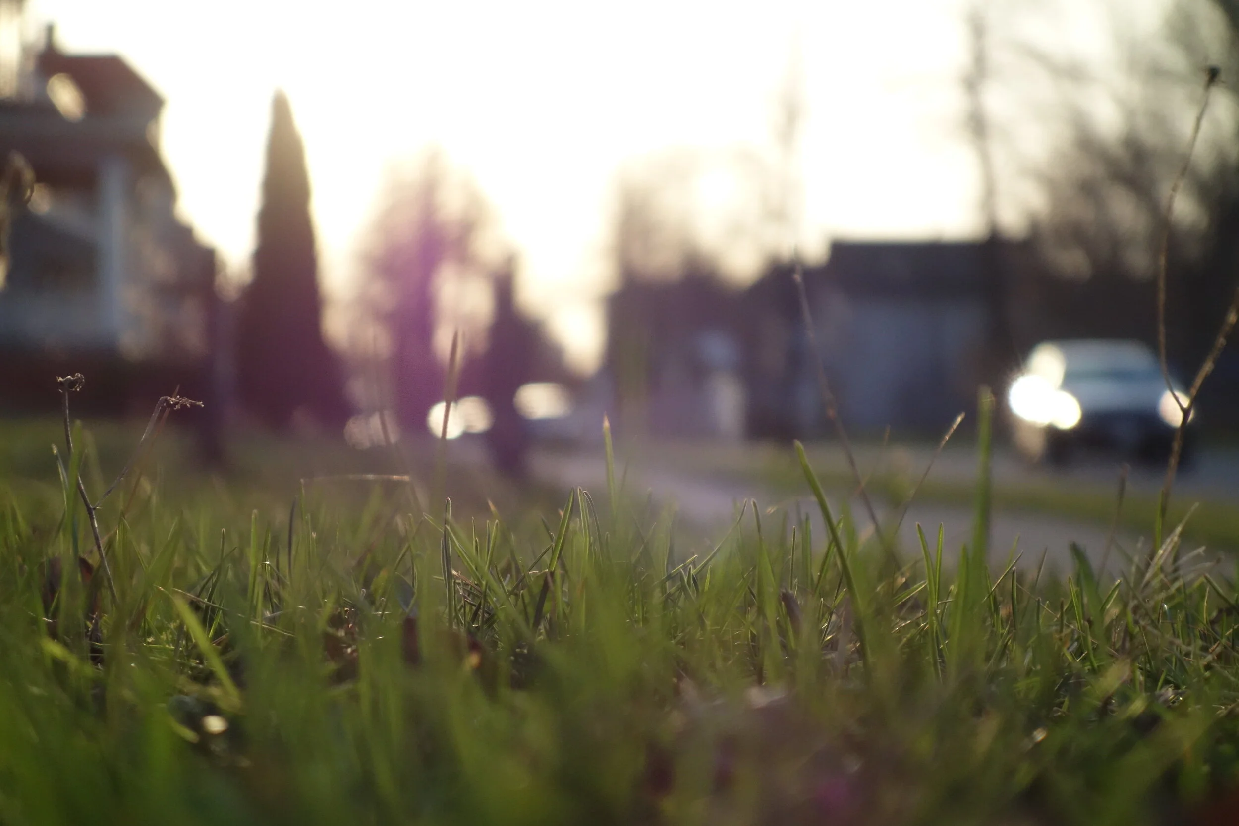 CCA Mentoring Your Attitude: Session 2