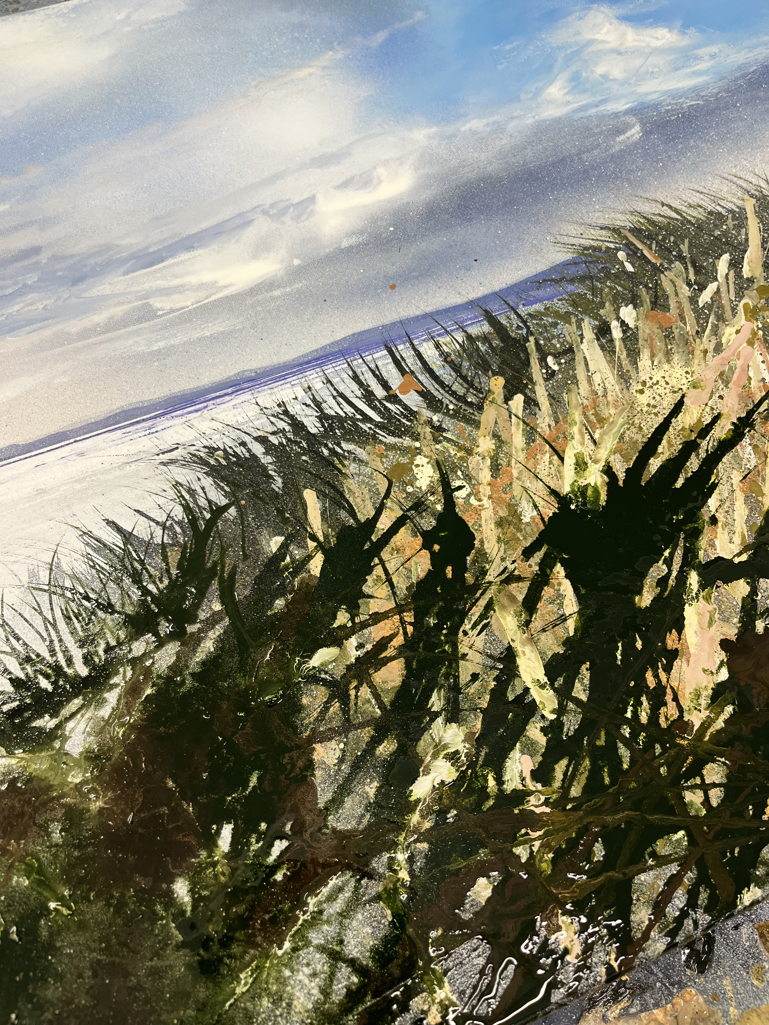 IMG_4570.png