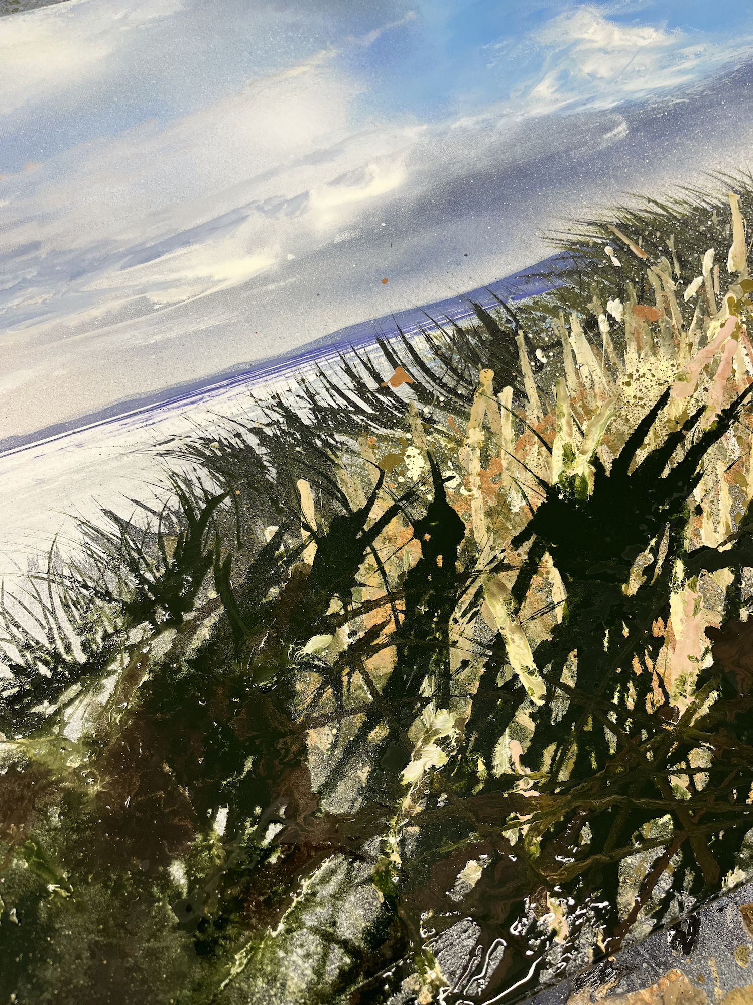 IMG_4570.png