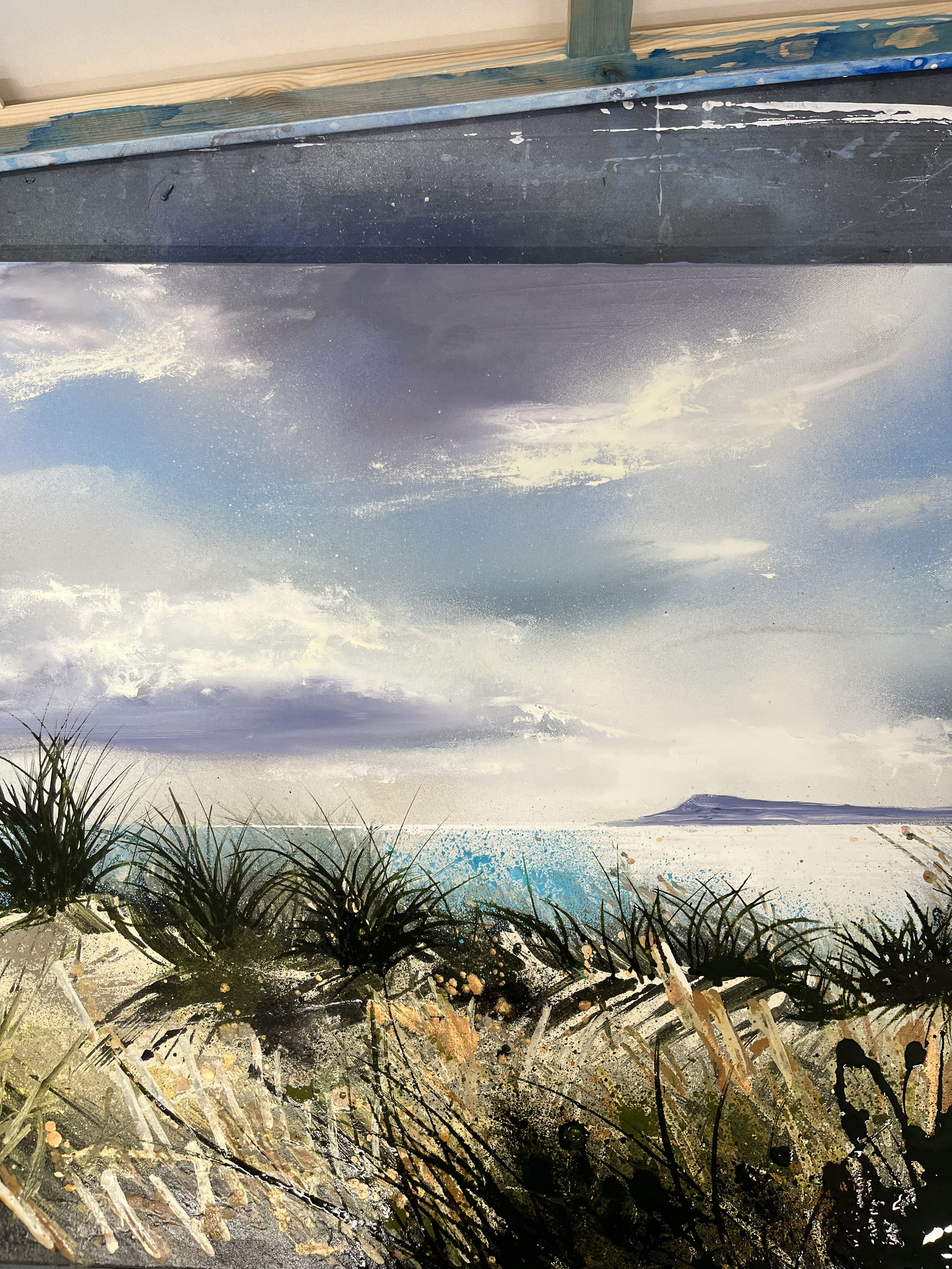 close up of sat in the dunes at east head.png