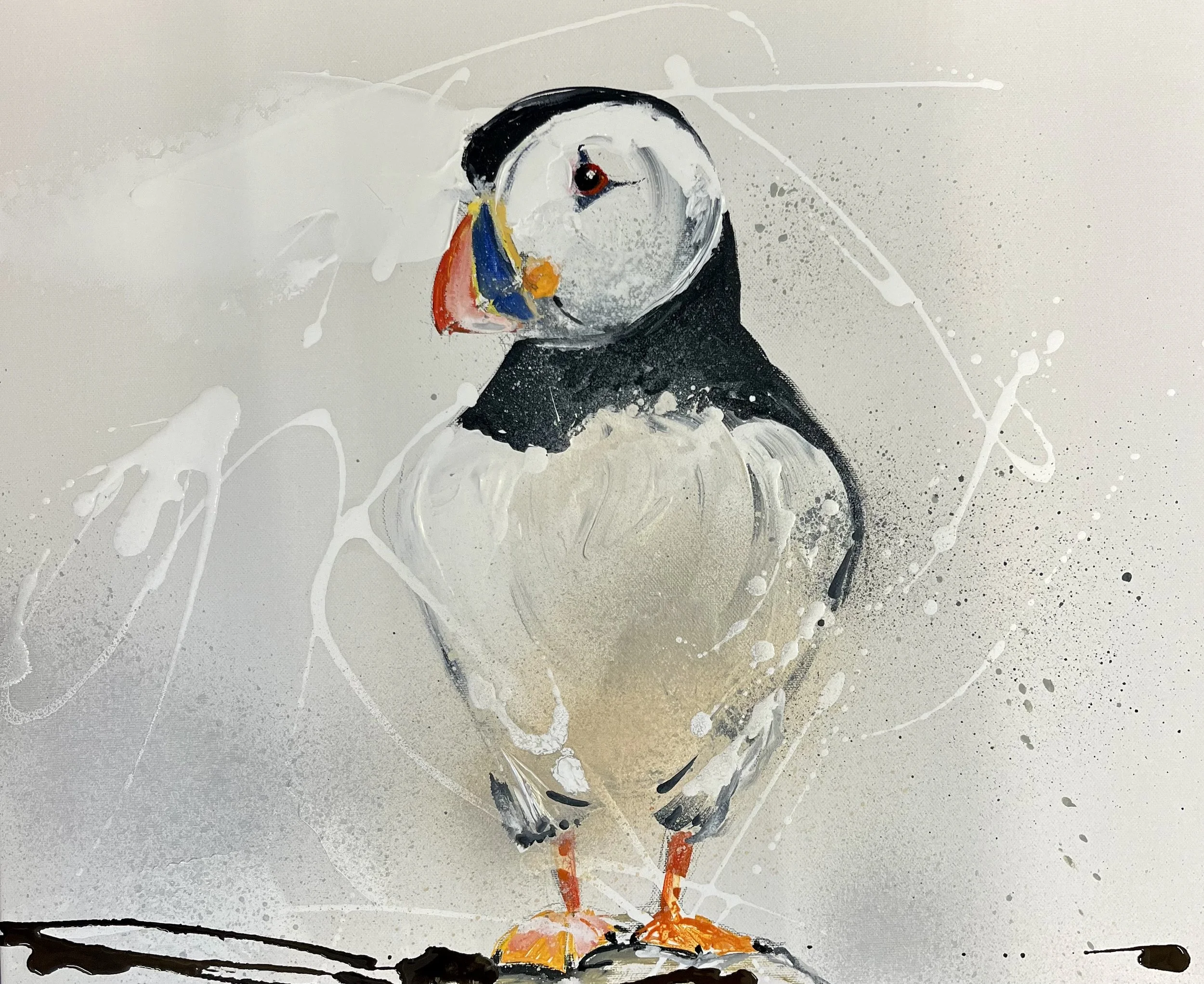 Puffin III 51x61cm.jpeg