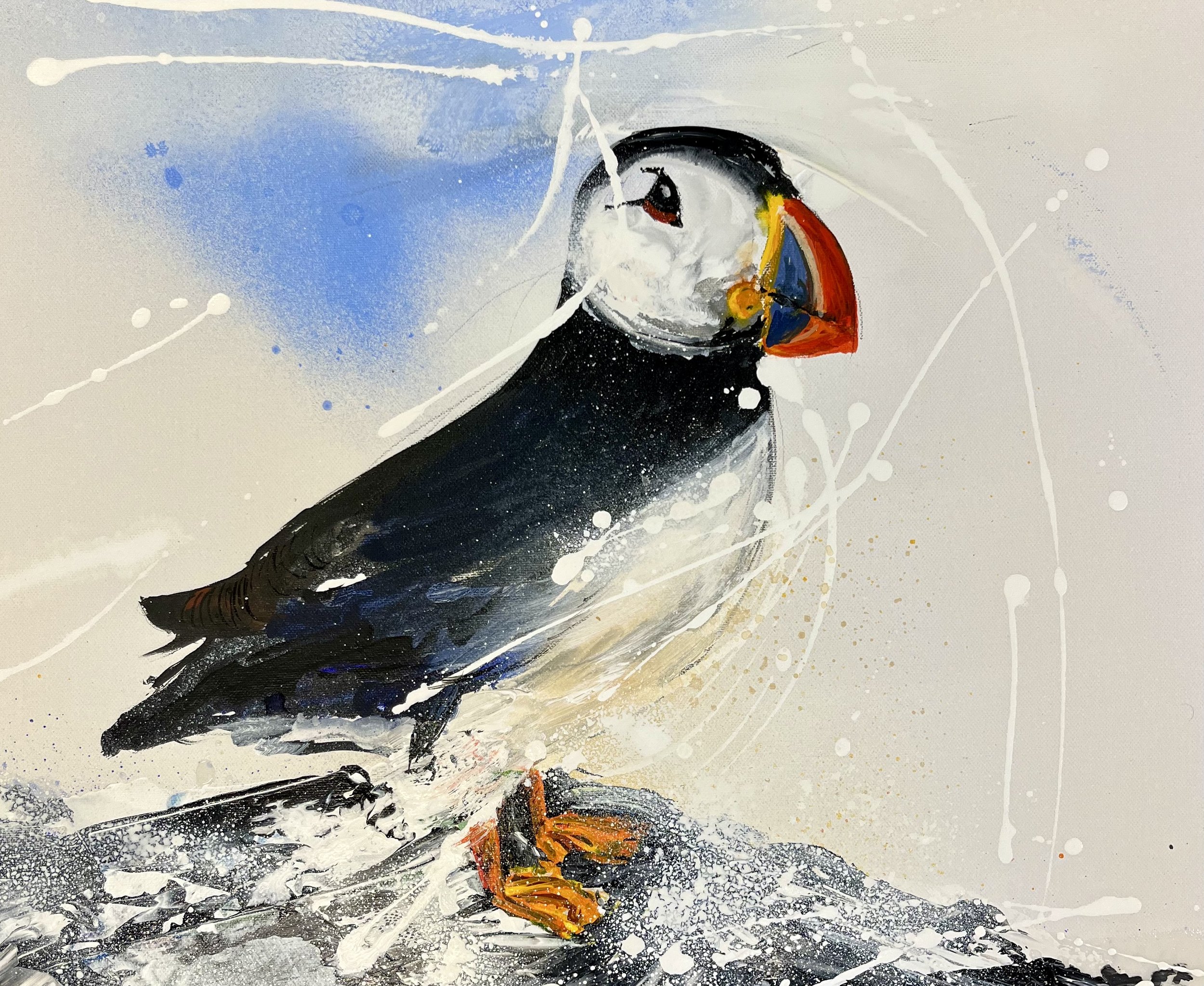 PUFFIN IV