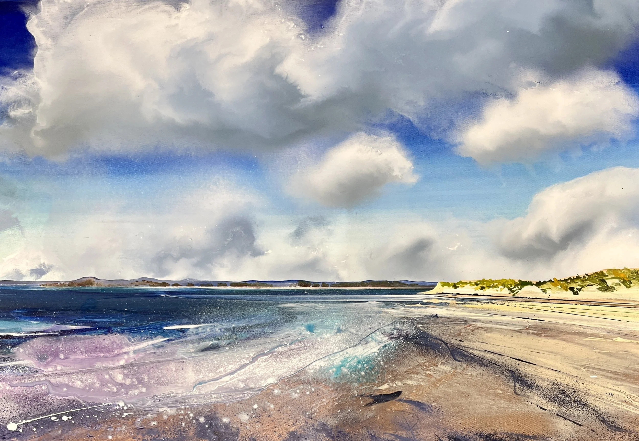 Beautiful east head to the south downs.JPG