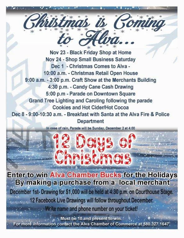 ALVA CHRISTMAS18 FLIER.jpg