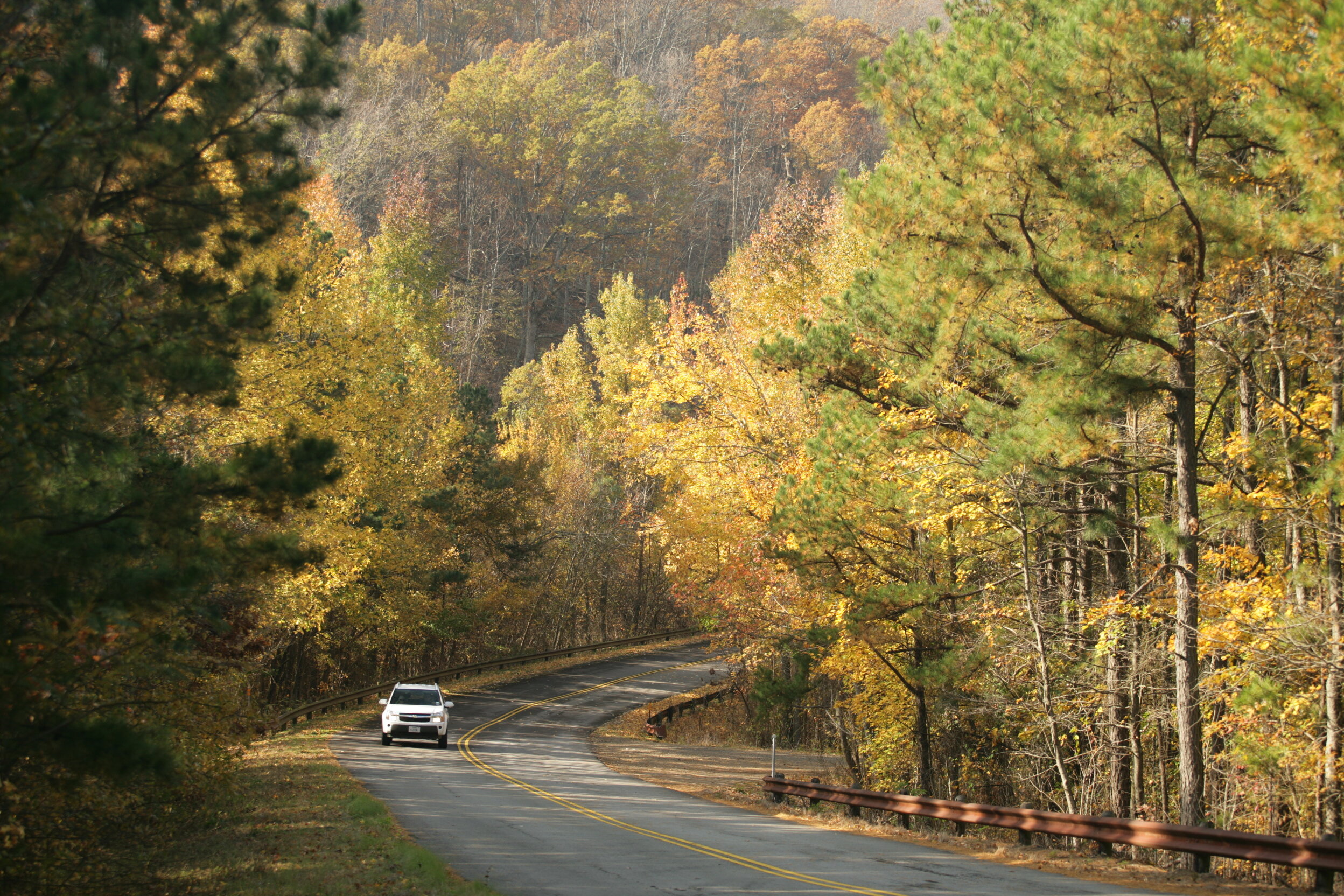 talimena-scenic-drive-eastern-oklahoma_3927043812_o.jpg