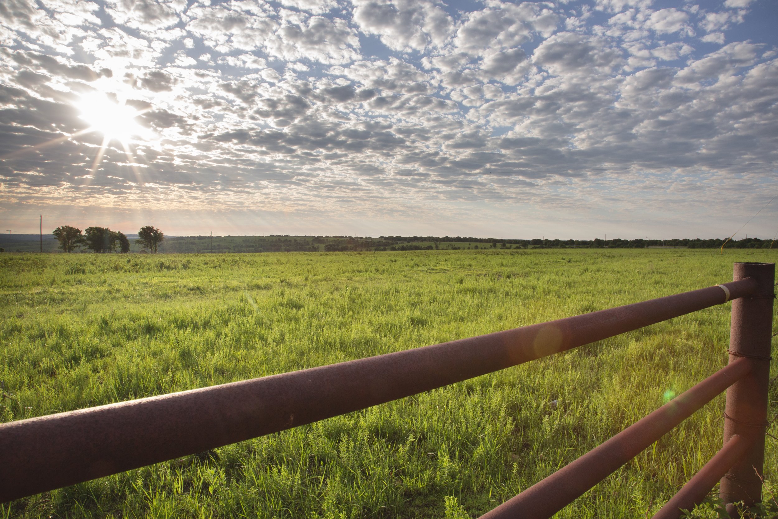 The award-winning Oklahoma Today Magazine offers website viewers new look and features