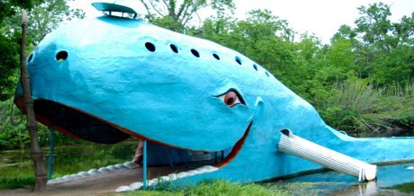 MM Blue Whale.jpg