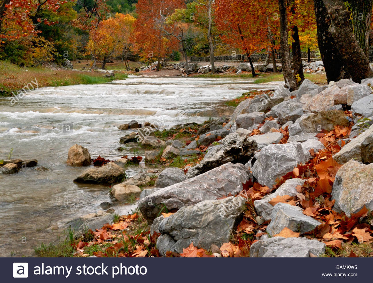 fall Honey Creek.jpg