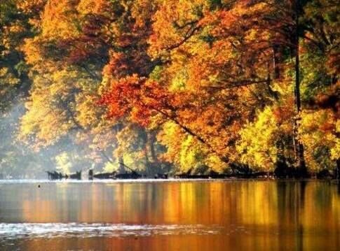 fall lake pic.jpg