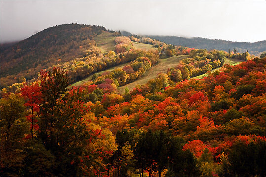 fall mountain pic.jpg