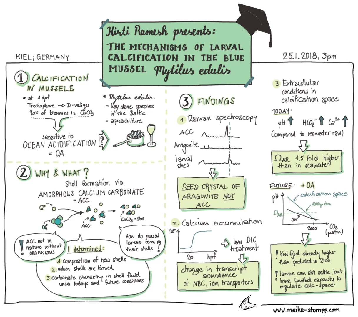 Sketchnote of a friend's PhD defense: Kirti Ramesh, 25.01.2018