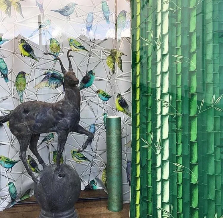 Matthew Williamson wallpapers